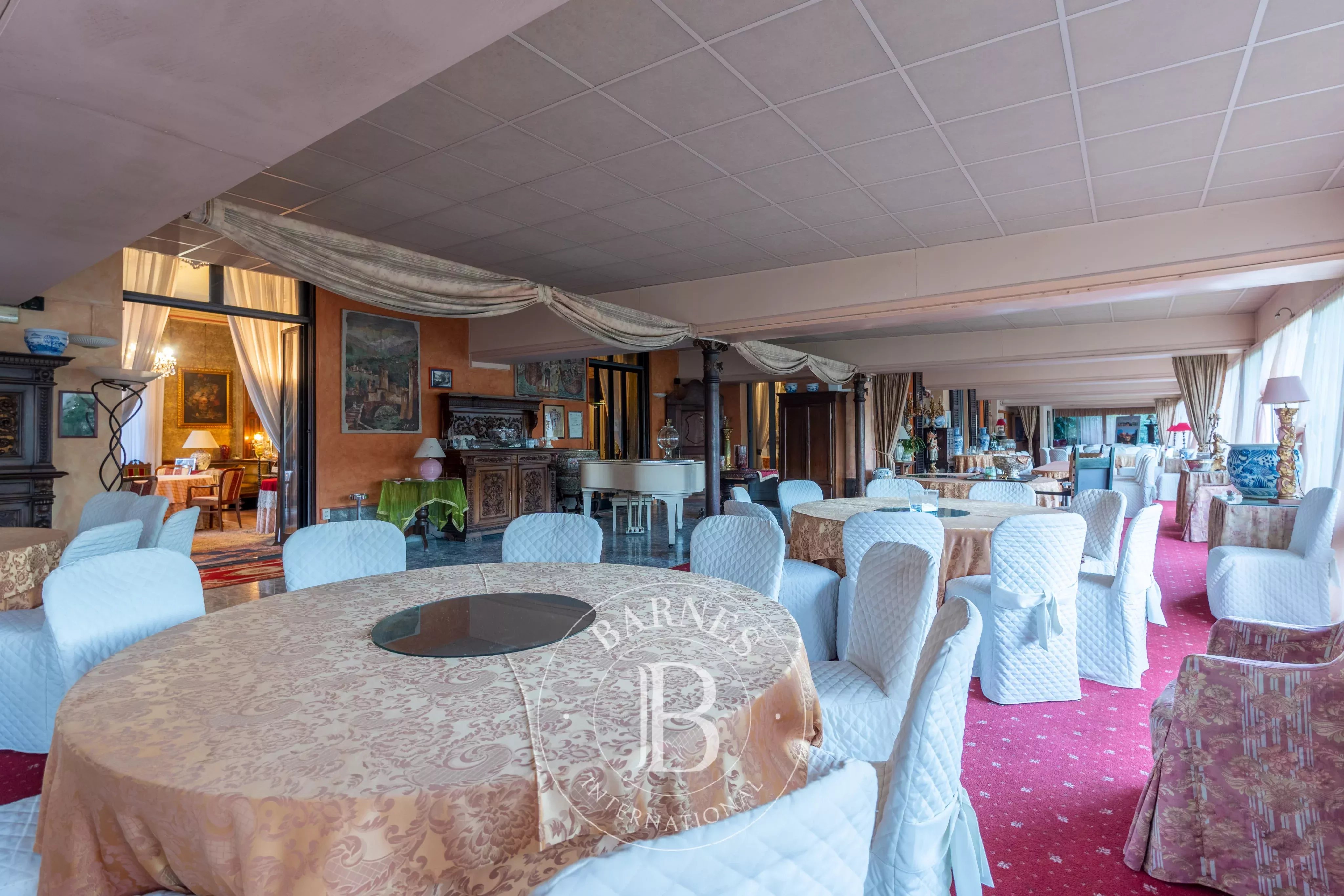 Saray Lesa - picture 12