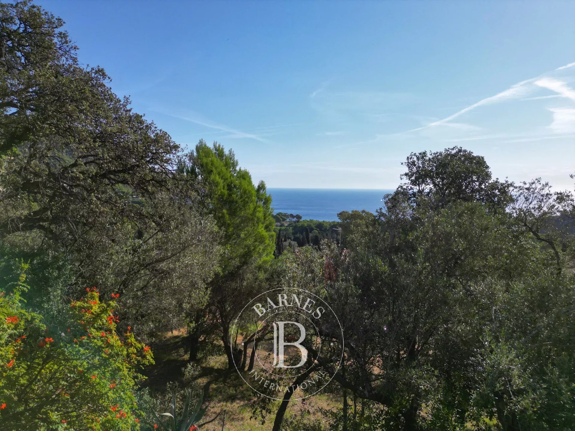 Arsa Begur - picture 14