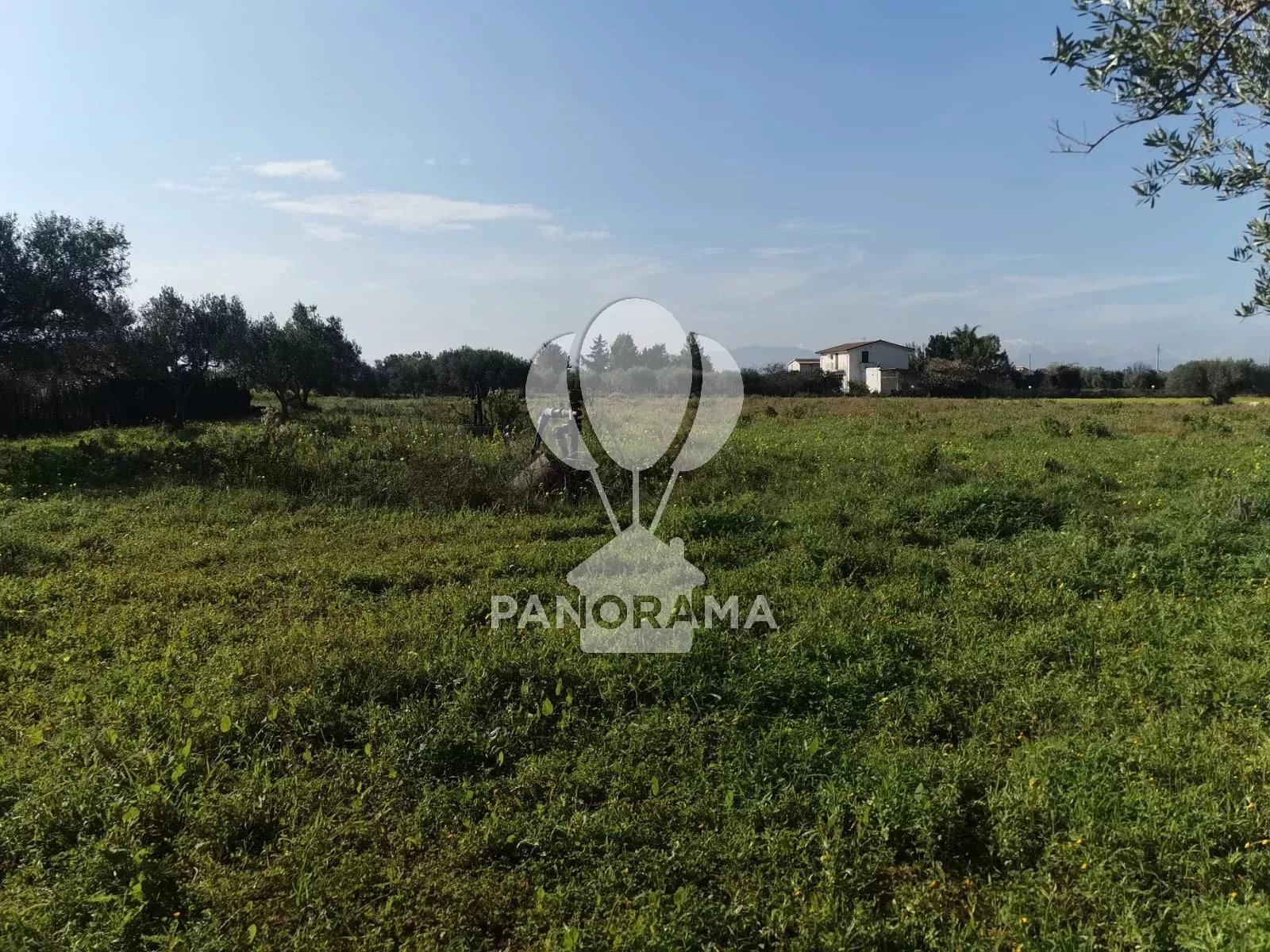 Vendita Terreno Partinico