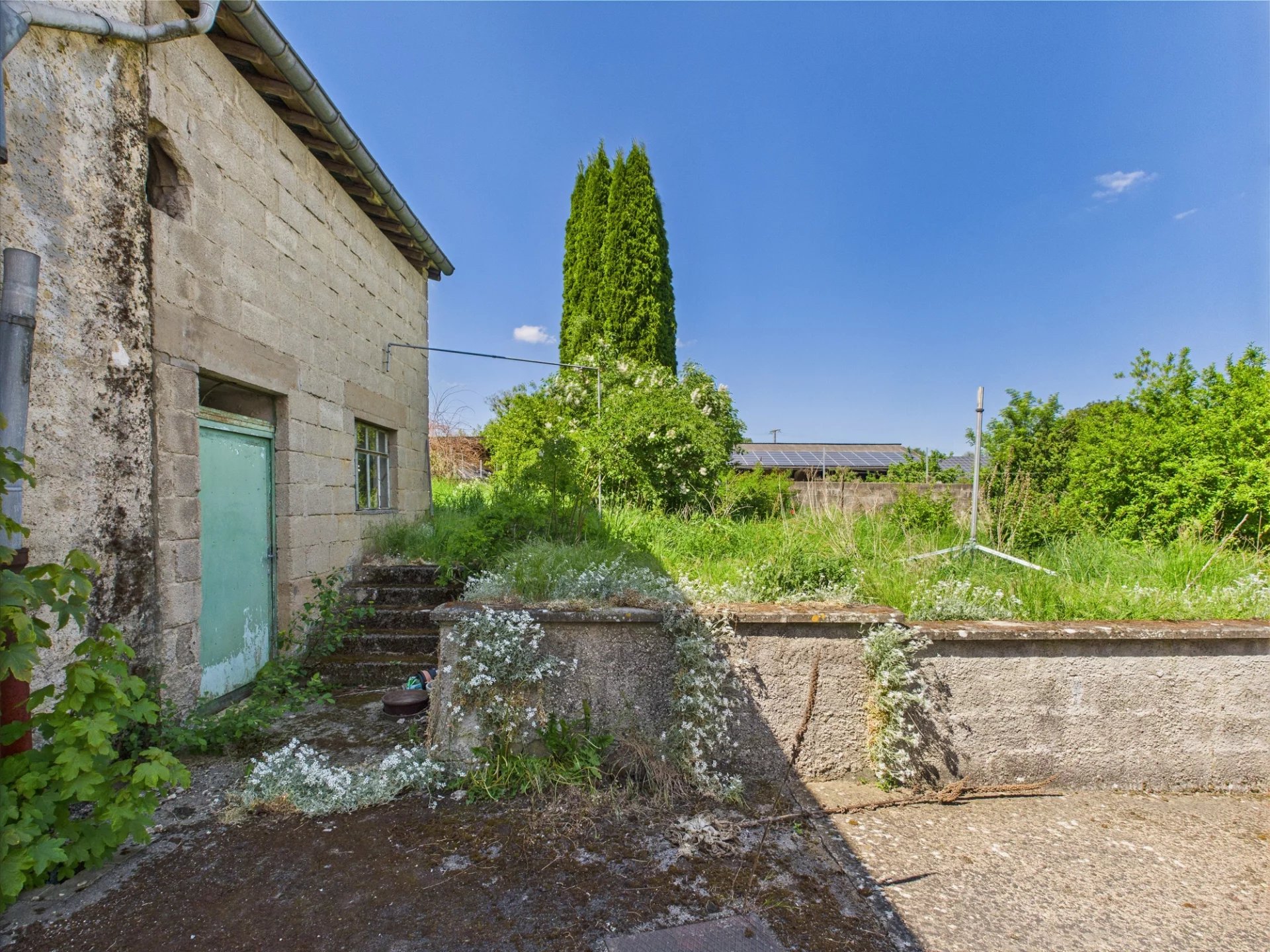 Image 6