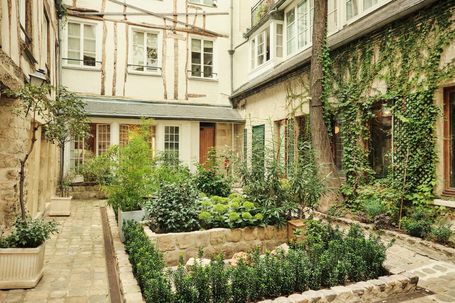 À 2 pas de la place Saint-Sulpice, un local mixte donnant sur jardin
