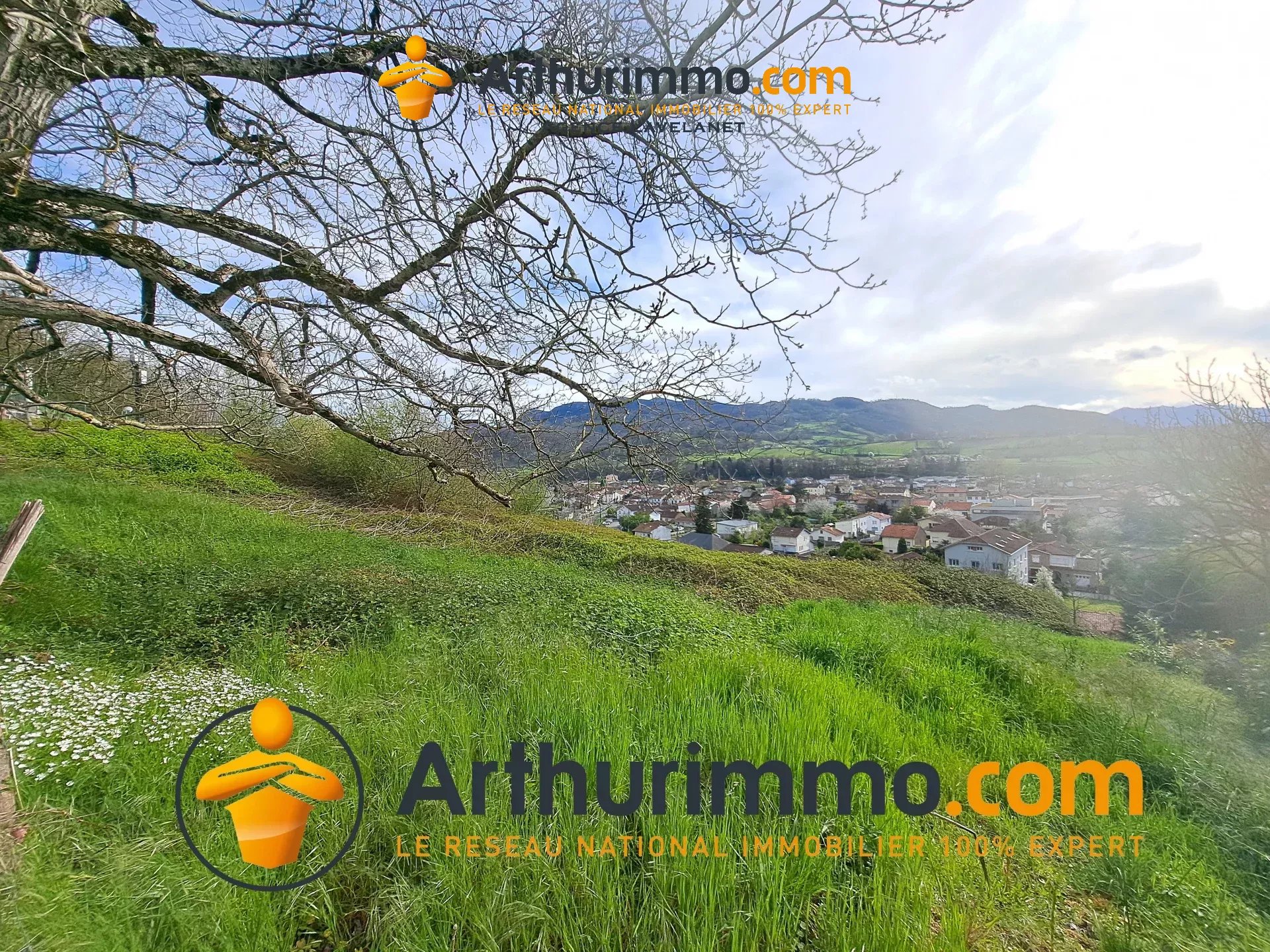 Agence immobilière de 