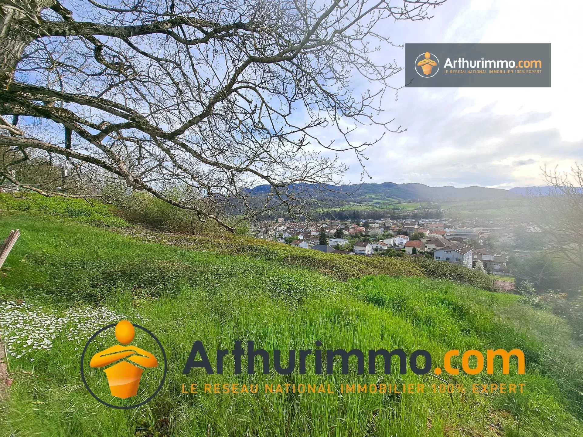 Agence immobilière de 