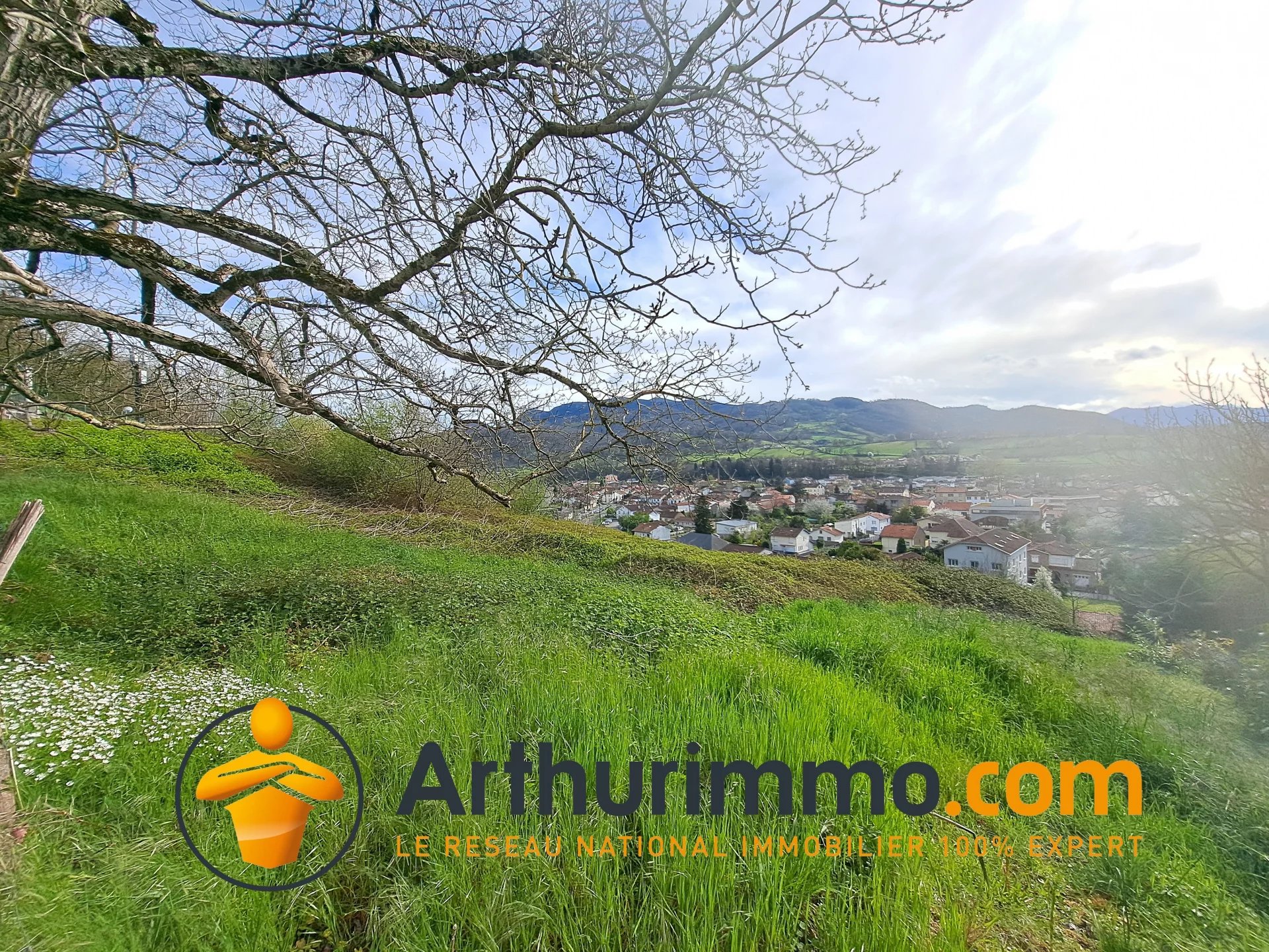 Agence immobilière de 