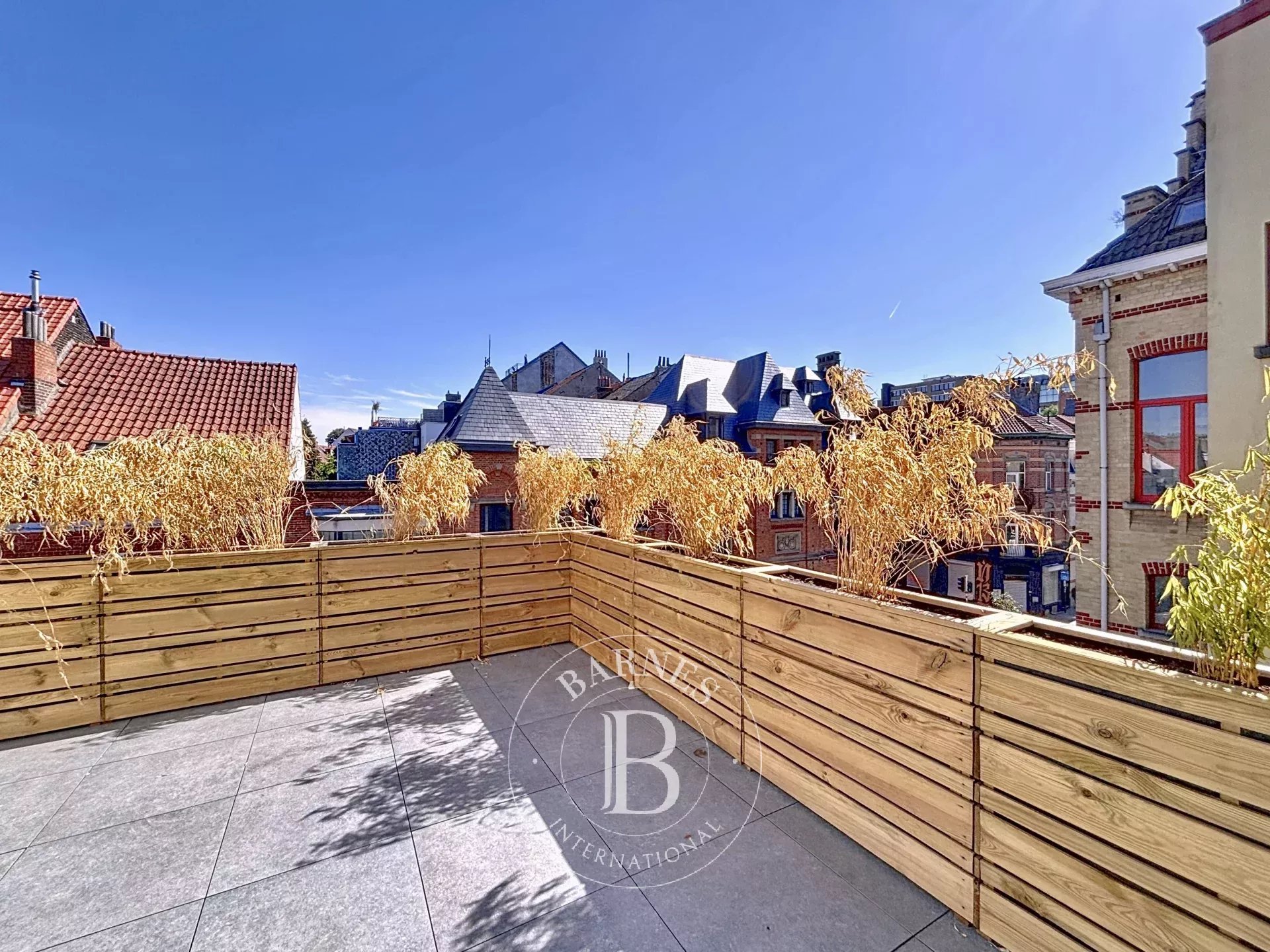Maison neuve, terrasse et rooftop plein sud