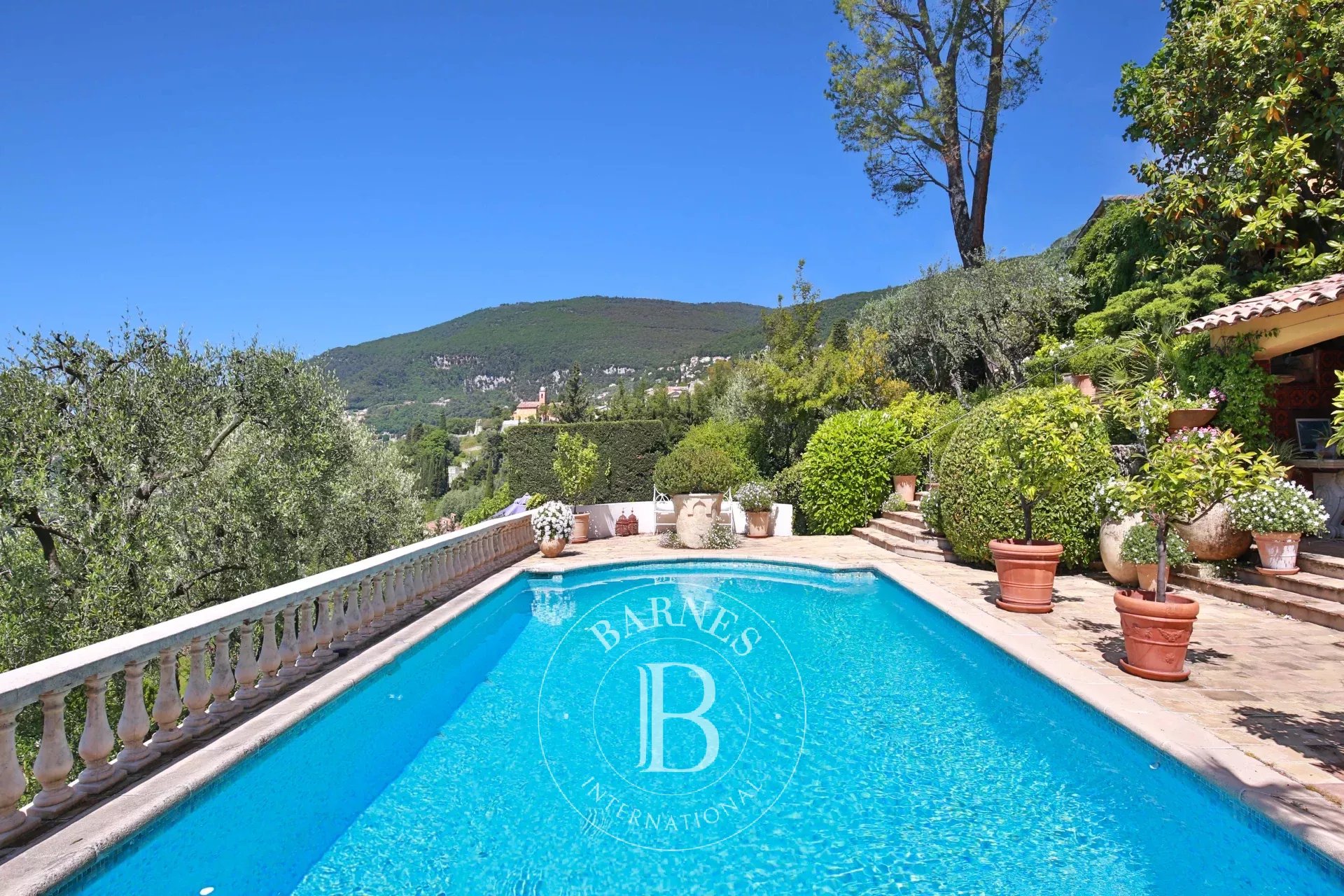 Ev Grasse - picture 8