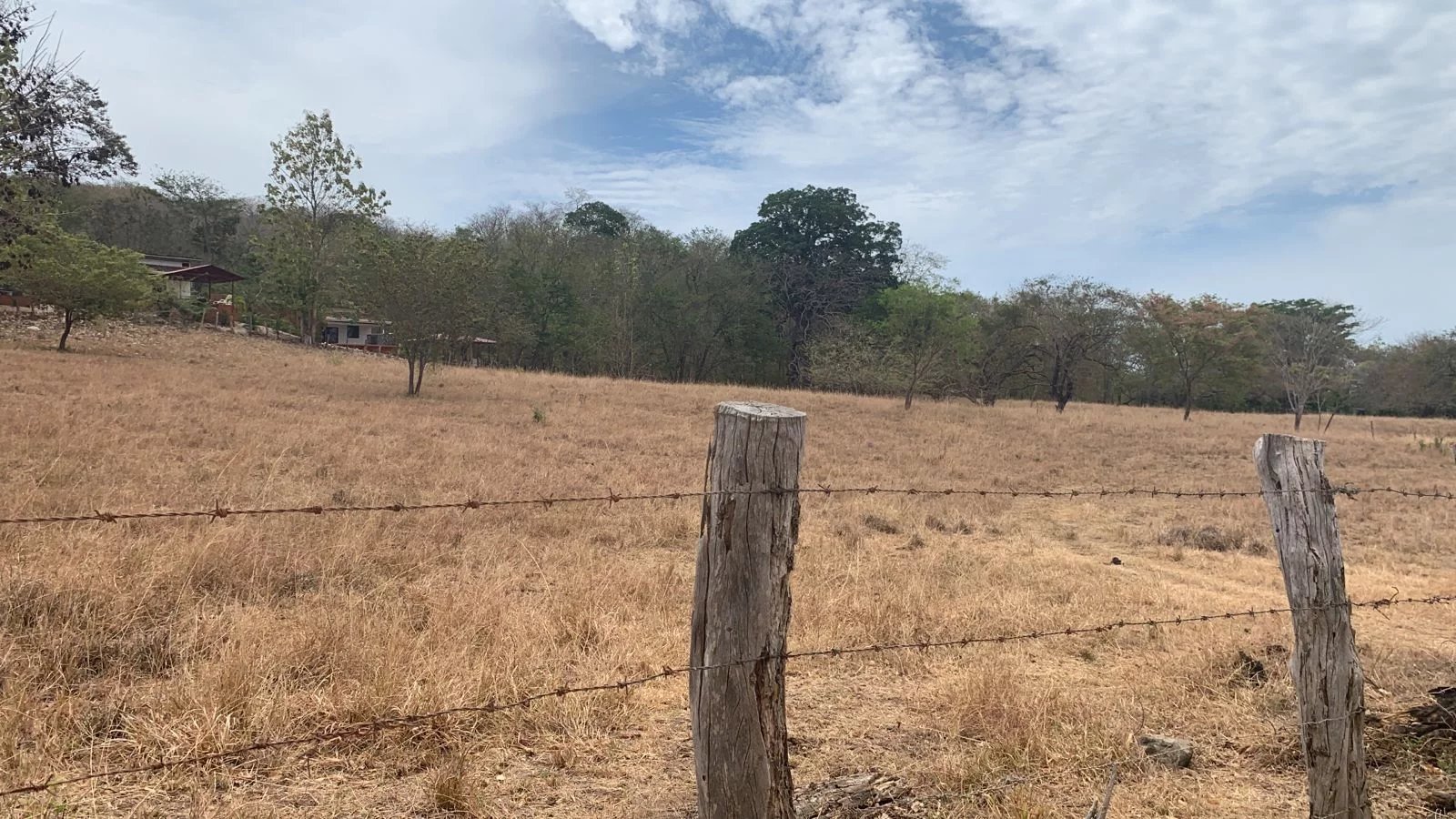 Sale Plot of land Santa Cruz Matapalo