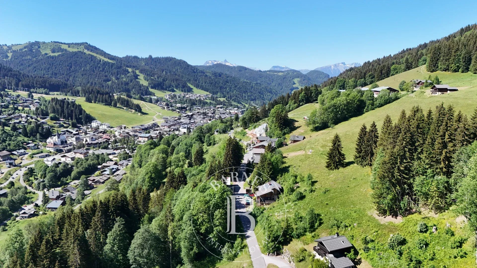 Chalet Les Gets - ref 86739807