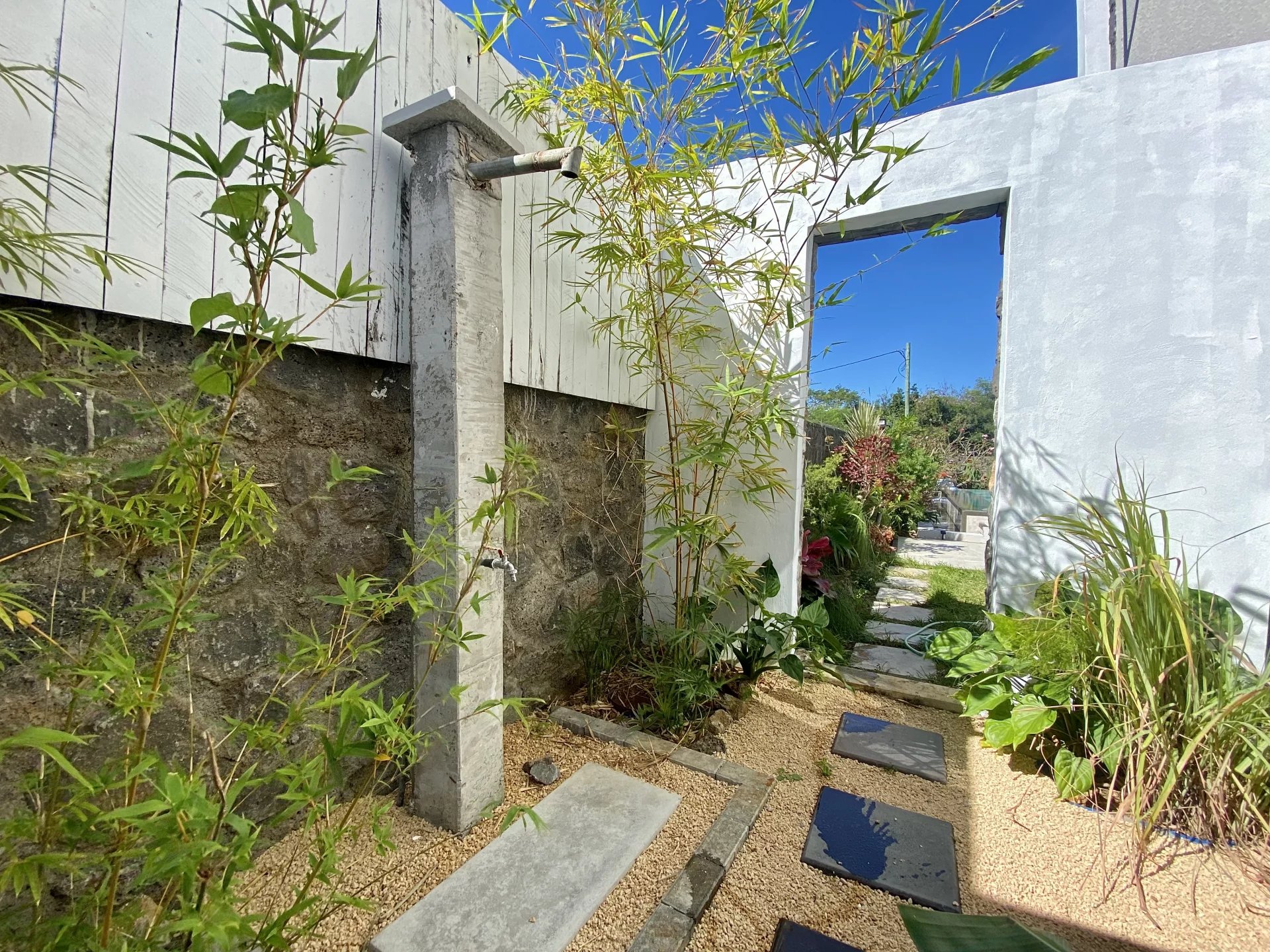 Ev Calodyne - picture 9