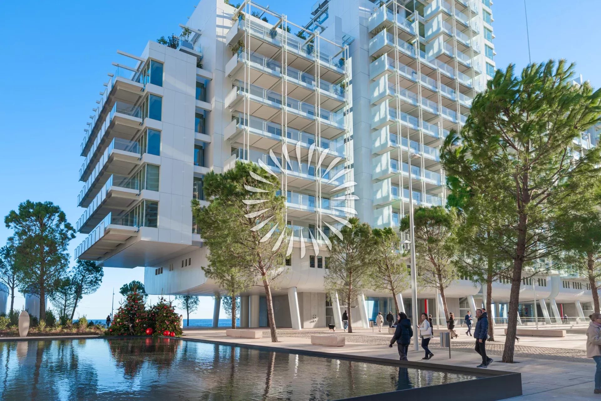 Renzo - MareTerra Monte Carlo