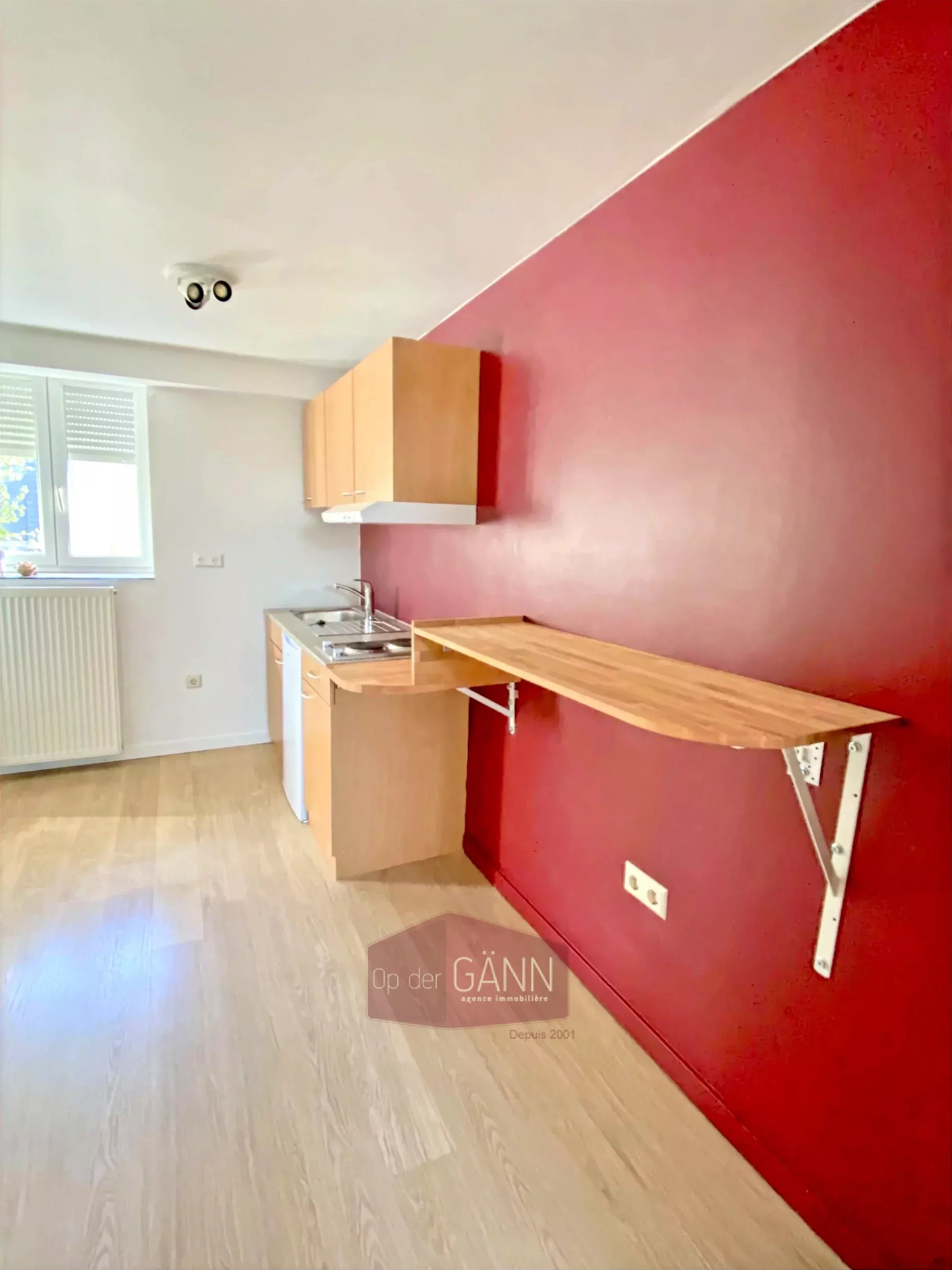 Appartement 1 chambre à louer à Luxembourg Centre */- 30 m2