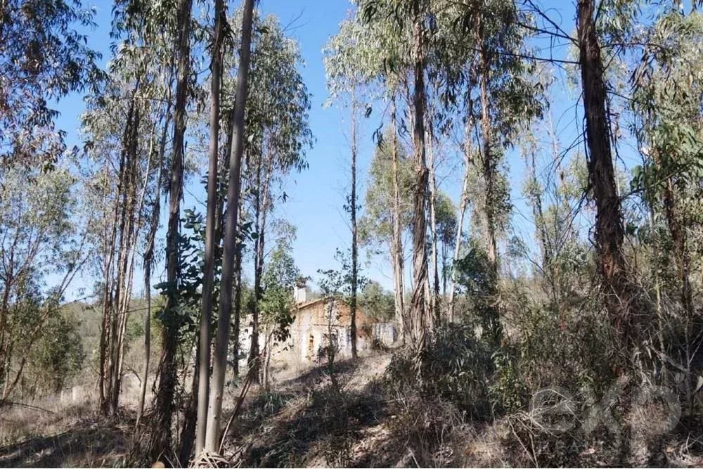 Exceptional 65-Hectare Estate in Alentejo with Tourism Development Potential 85506160 image 35
