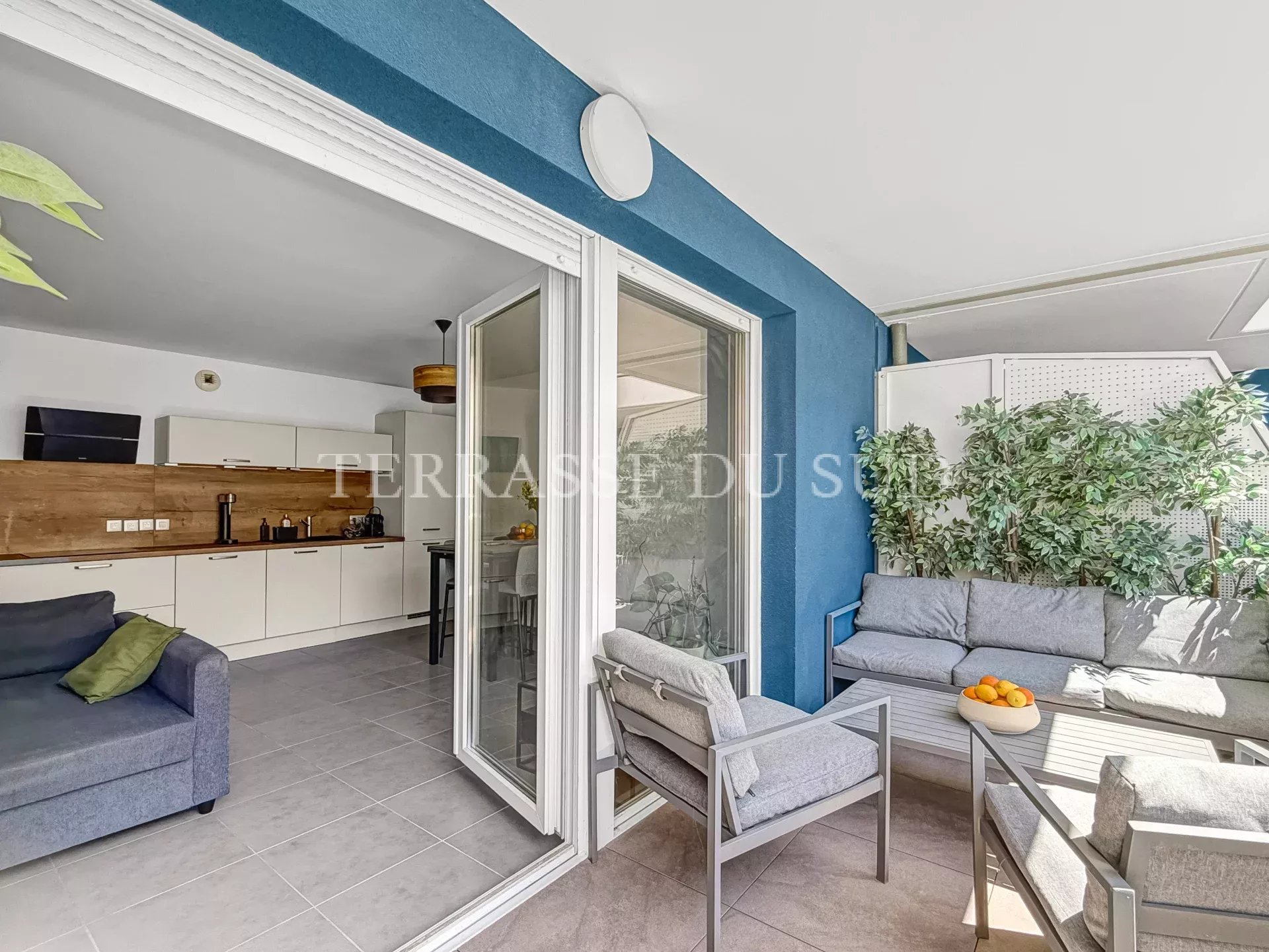 Agence immobilière de Terrasse du Sud