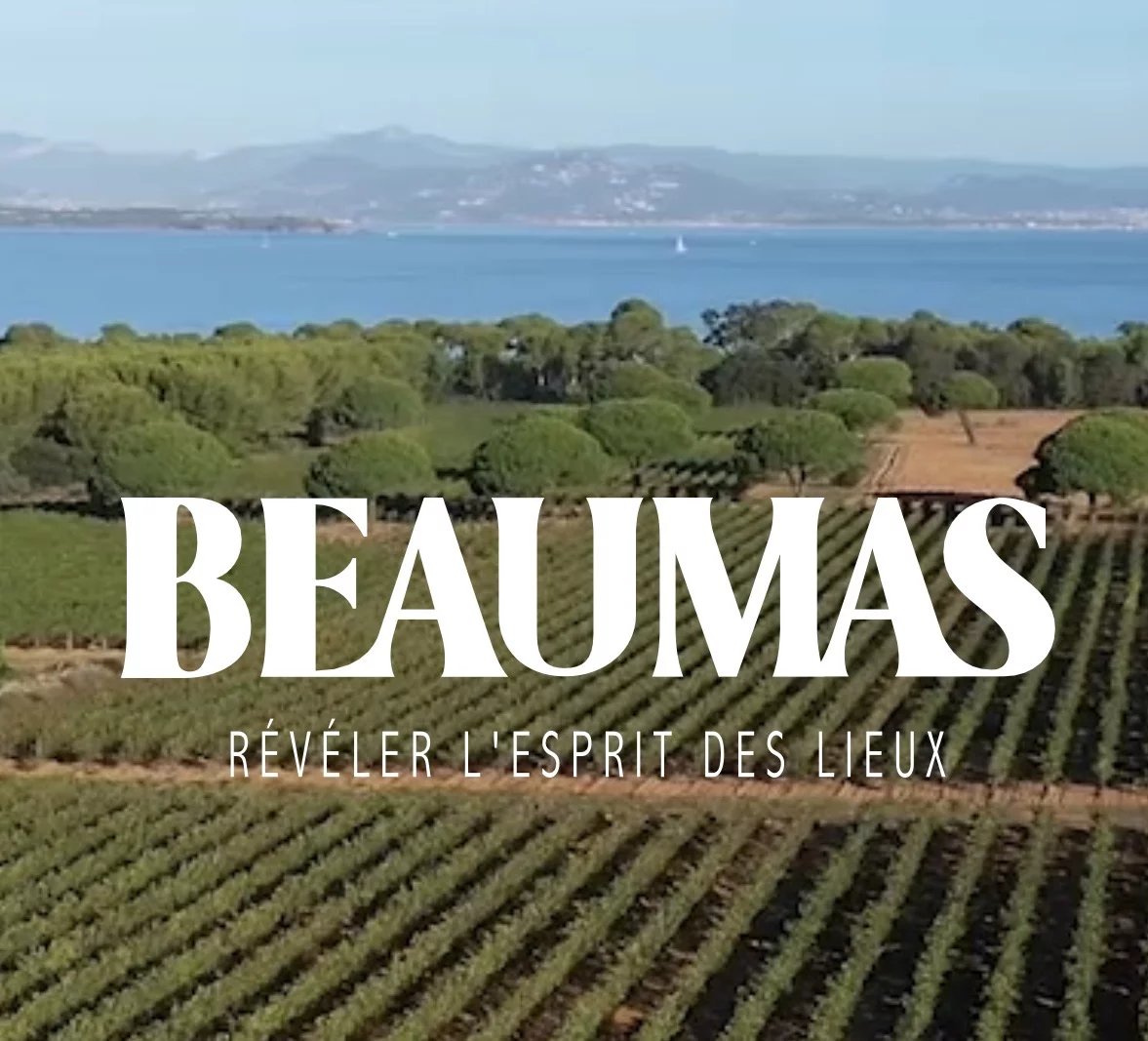 Agence immobilière de Eaulum Estate