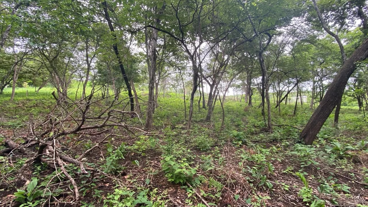 Sale Building land Cartagena