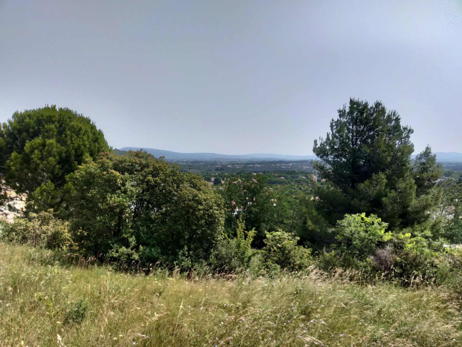 Vente Terrain Clermont-l'Hérault