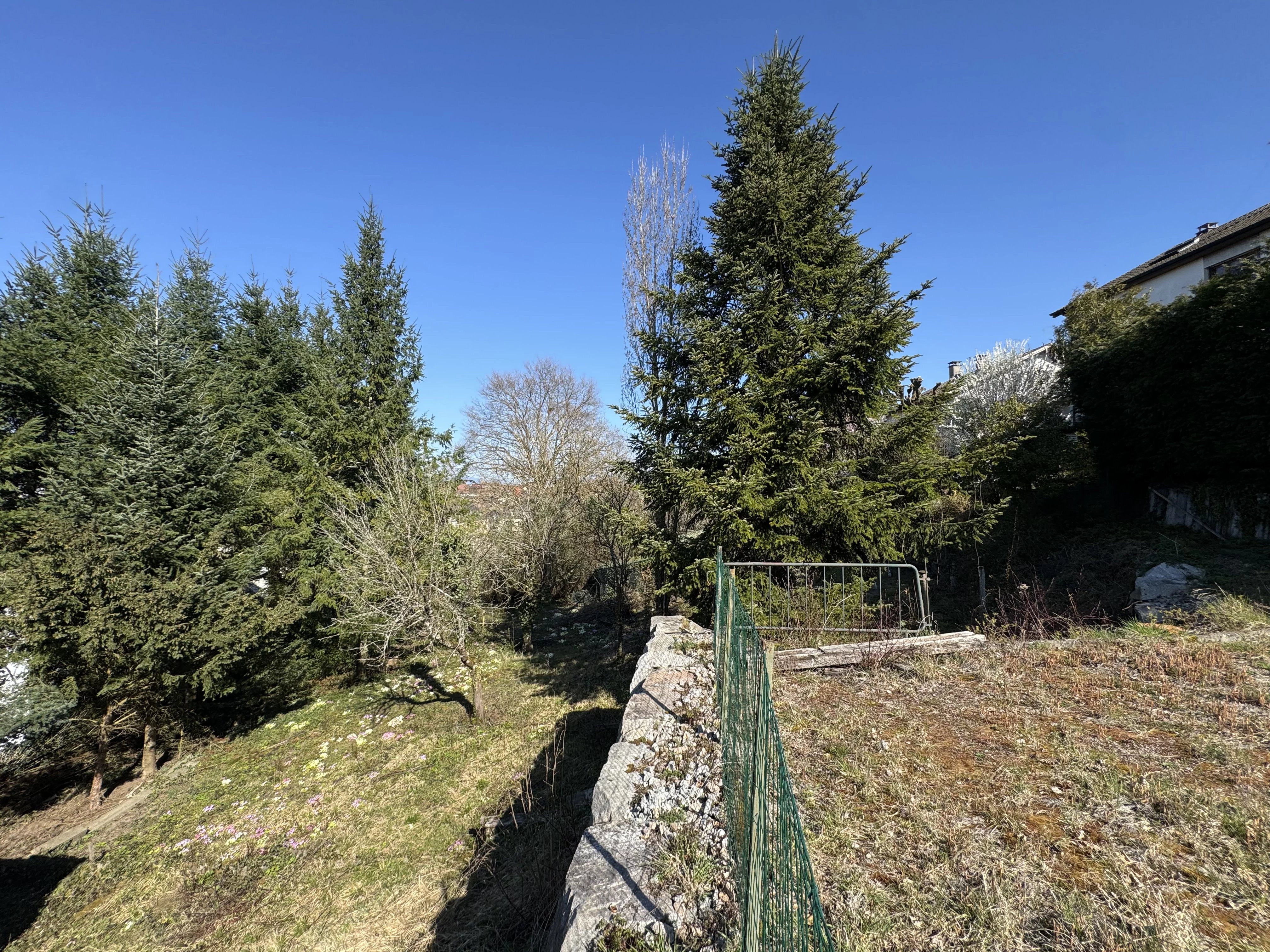 ALTKIRCH – TERRAIN À BÂTIR DE 8,56 ARES — photo 4