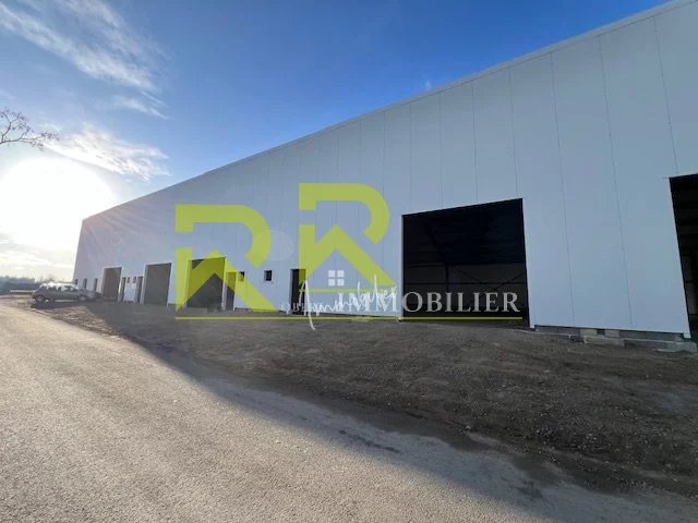 Location Local commercial Saint-Thibéry