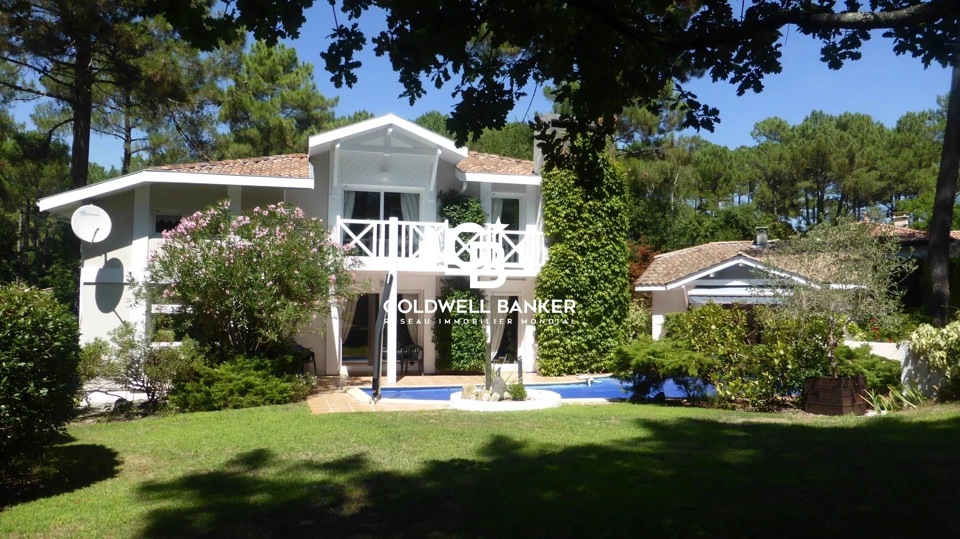 Agence immobilière de Silver Coast Int. Realty