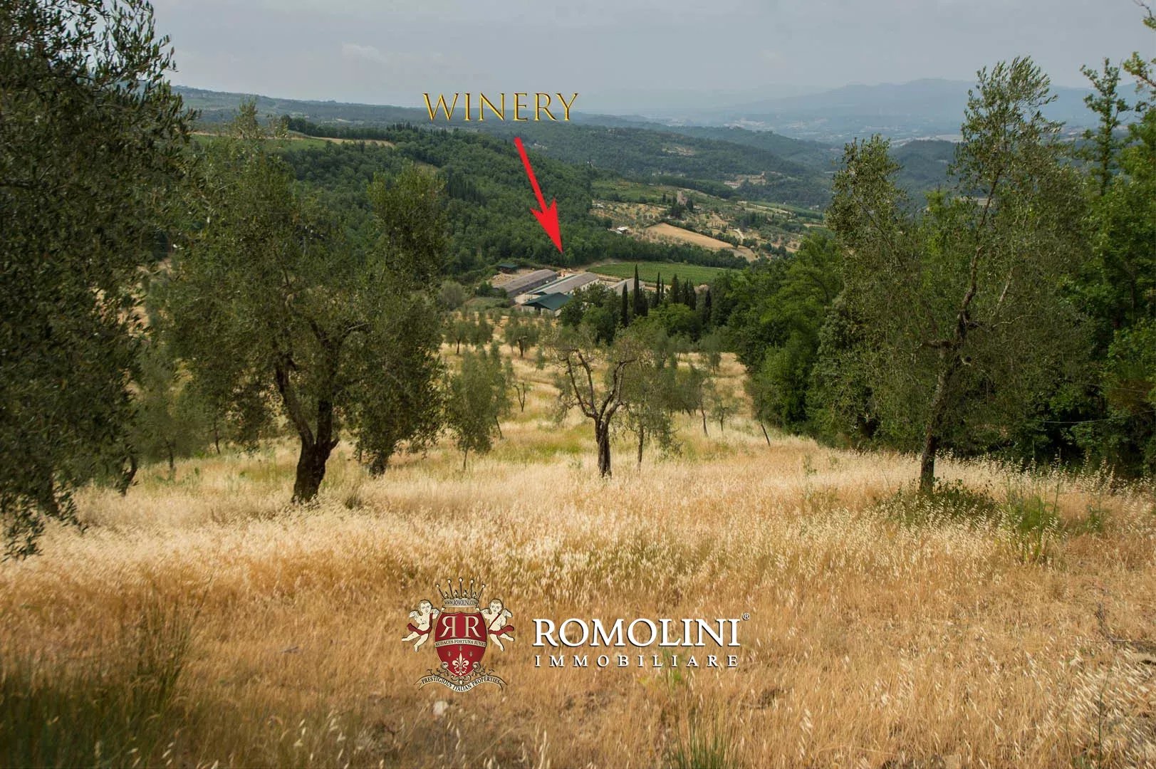 50 Bedroom Vineyard's Image 9