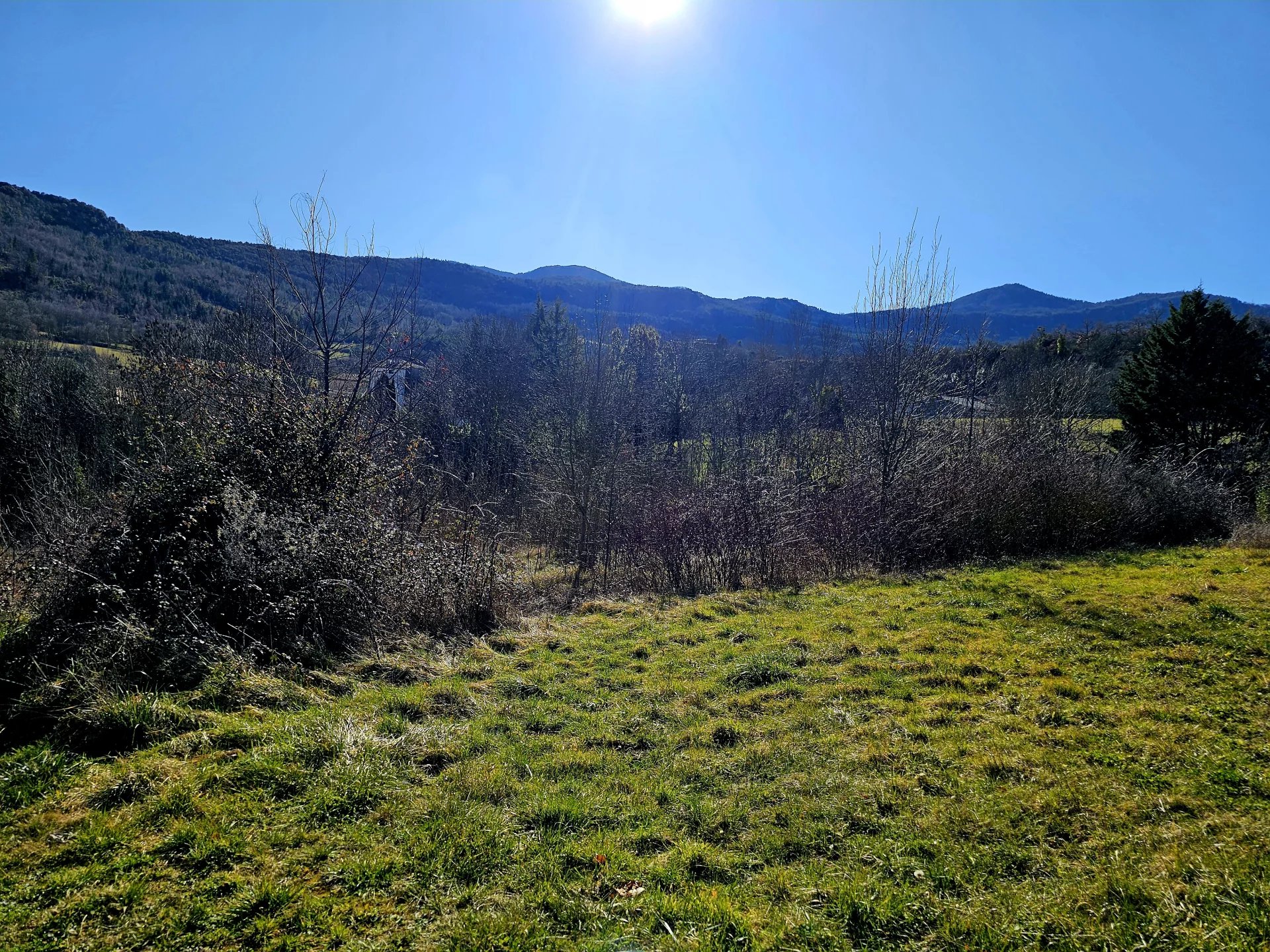 Agence immobilière de Richardson Immobilier