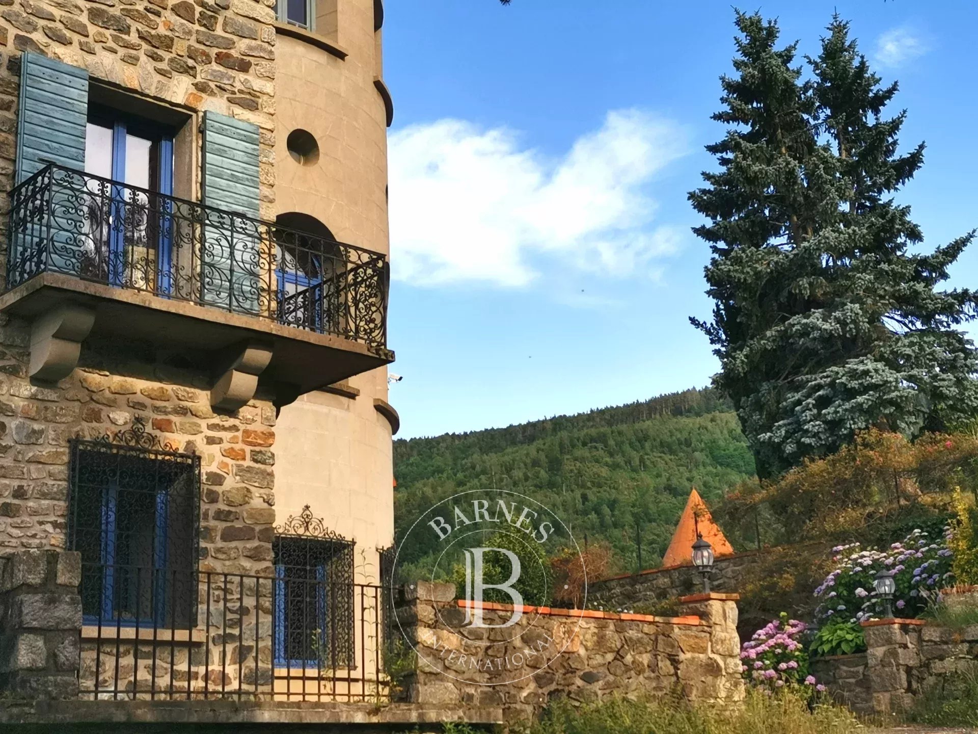 Mülkiyet Prats-de-Mollo-la-Preste - picture 11