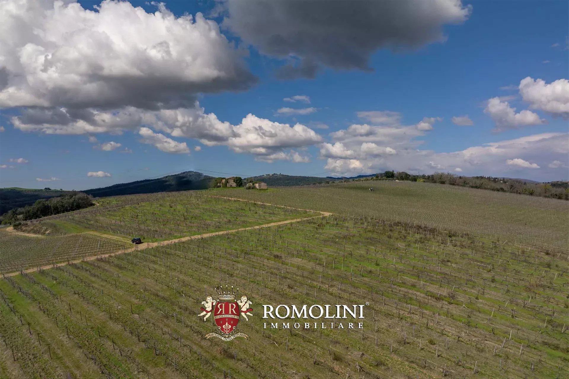 35 Bedroom Vineyard's Image 17