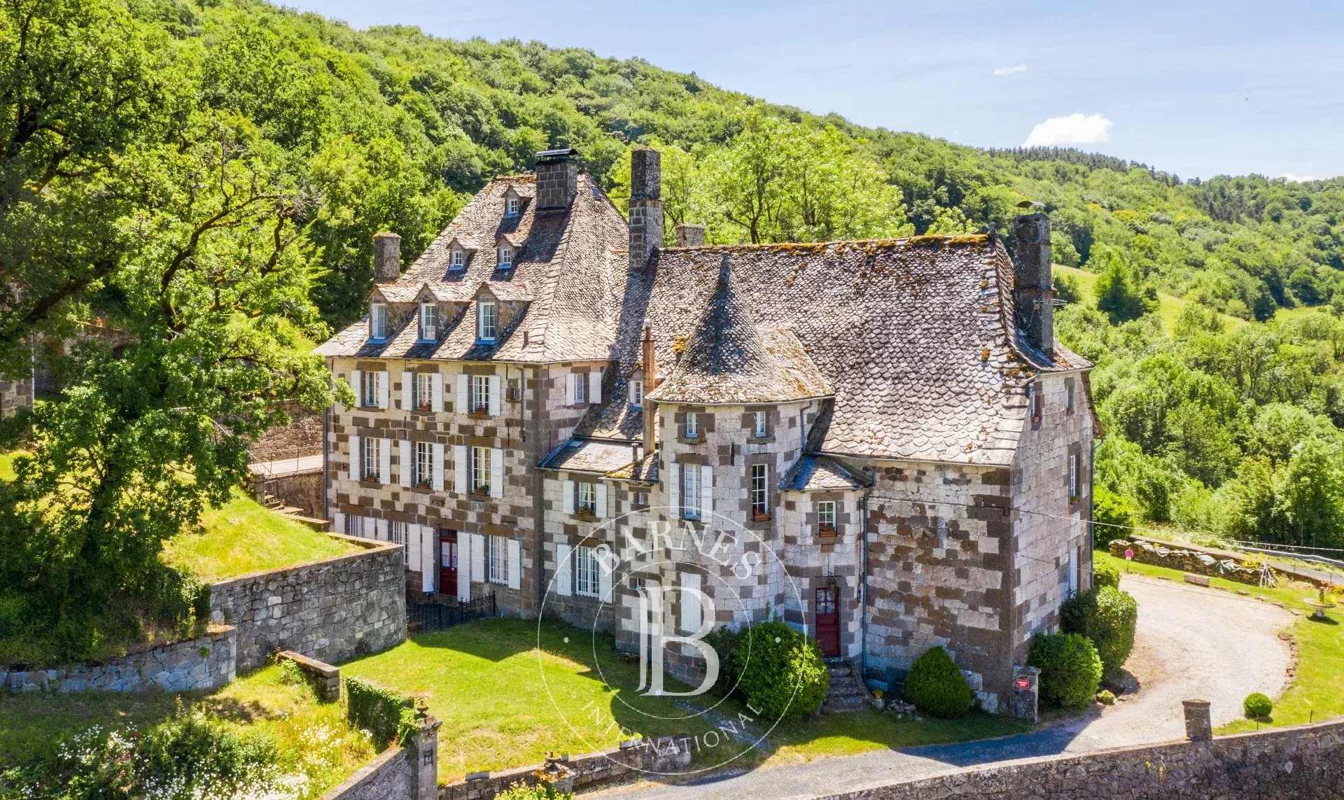 Aurillac  - Manoir 16 Pi&egrave;ces 11 Chambres - picture 15