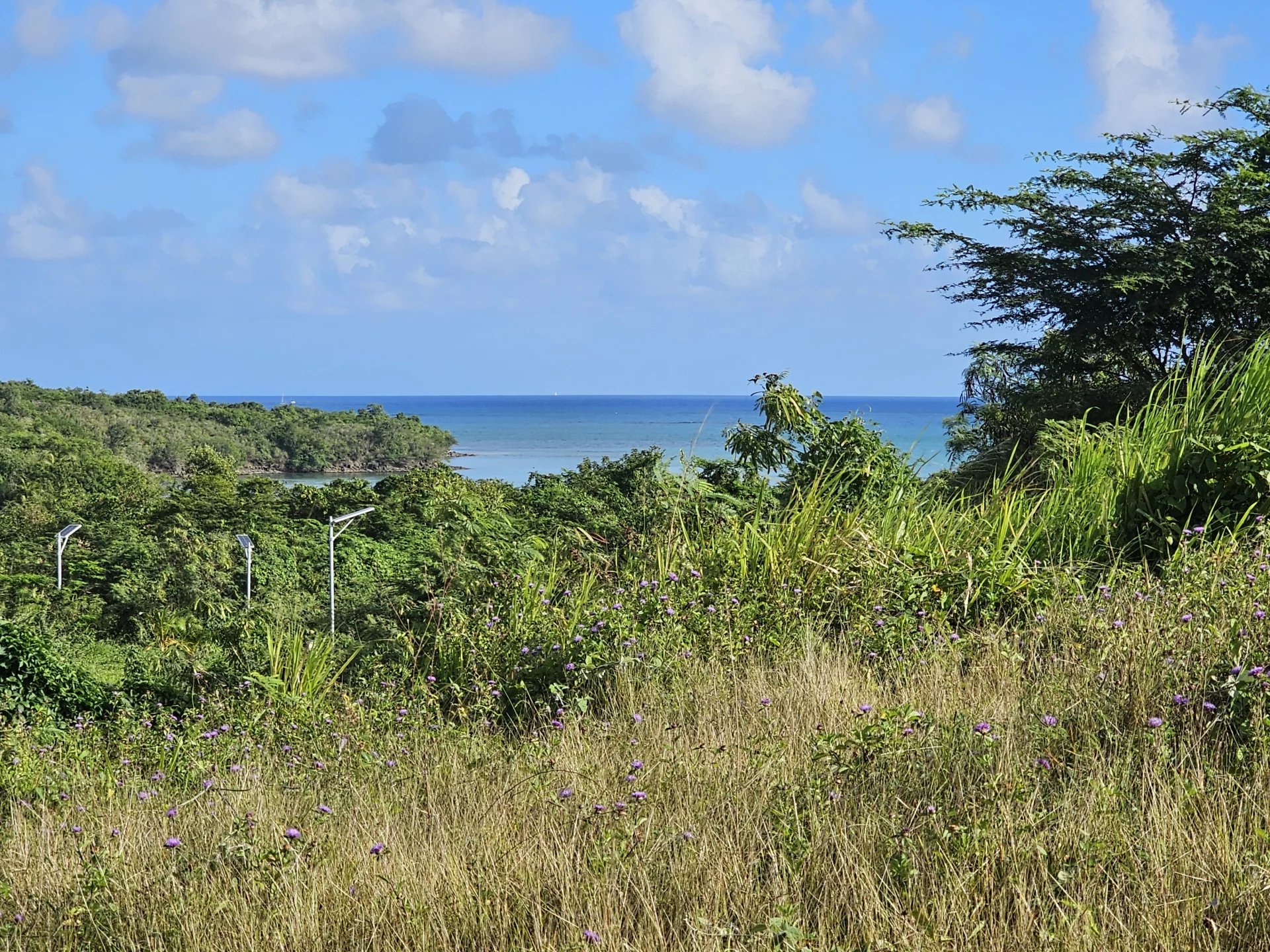 RARE À LA VENTE – SUPERBE TERRAIN CONSTRUCTIBLE AVEC VUE MER ! LE DIAMANT