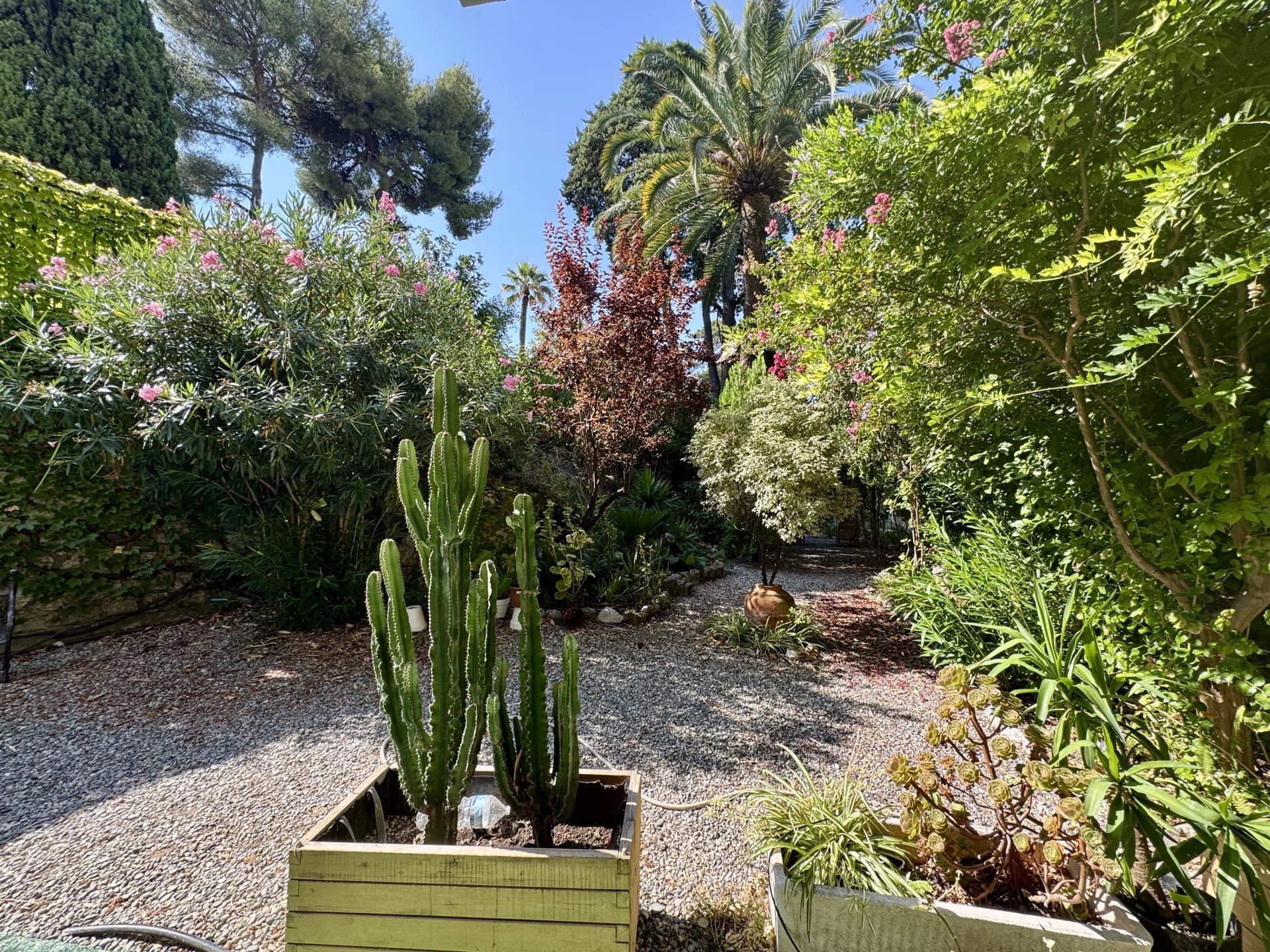 Vendita Appartamento - Nizza (Nice) Cimiez