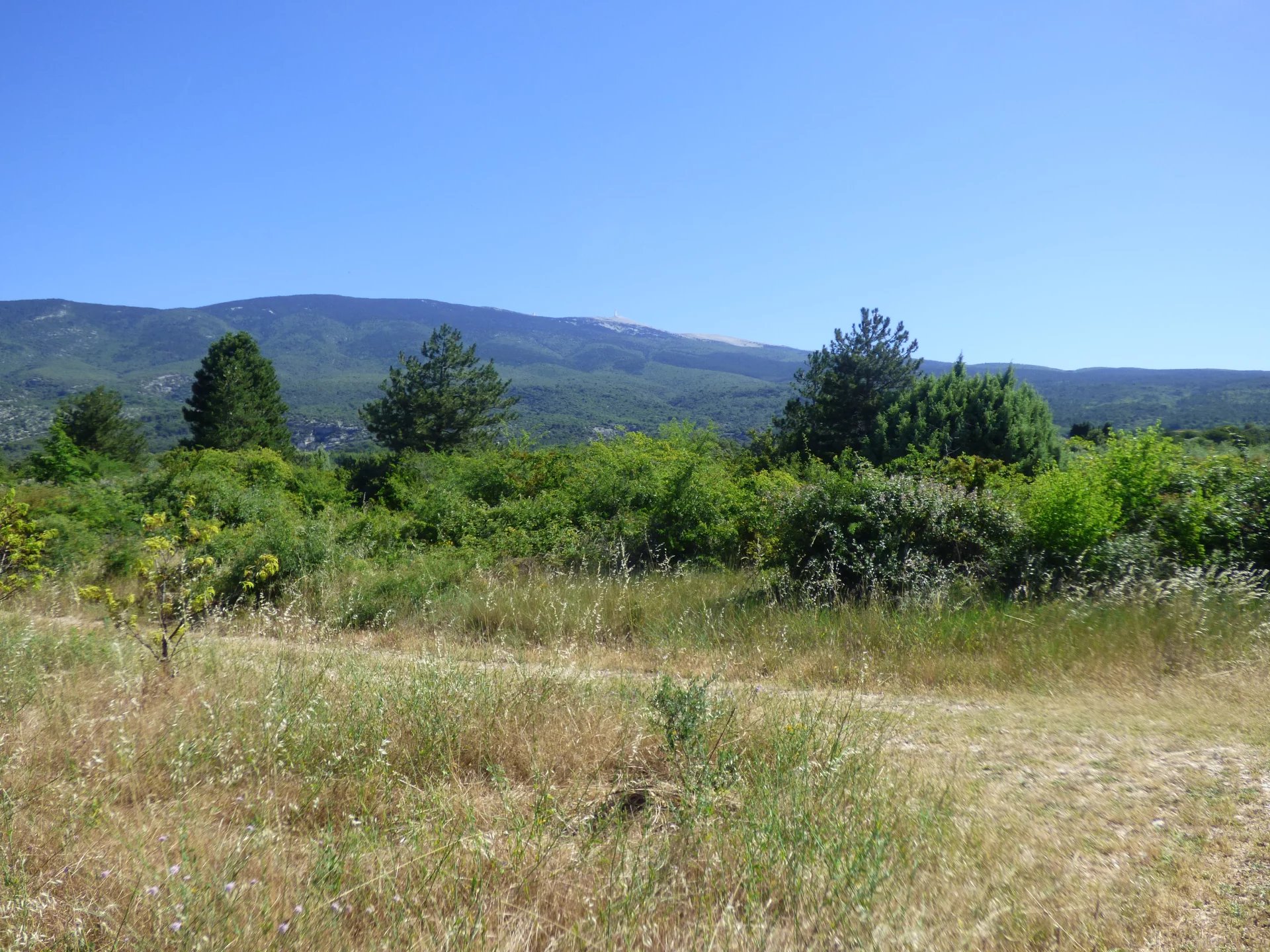 Vente Terrain agricole Bédoin