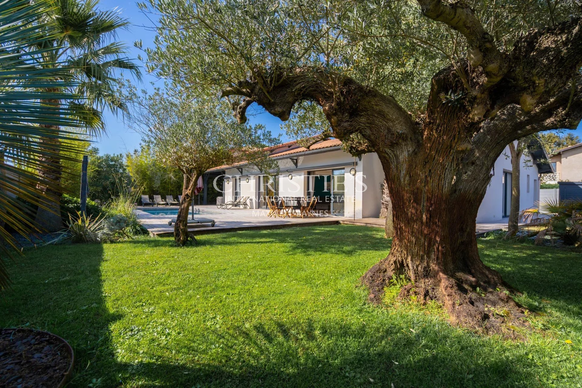 Single family home