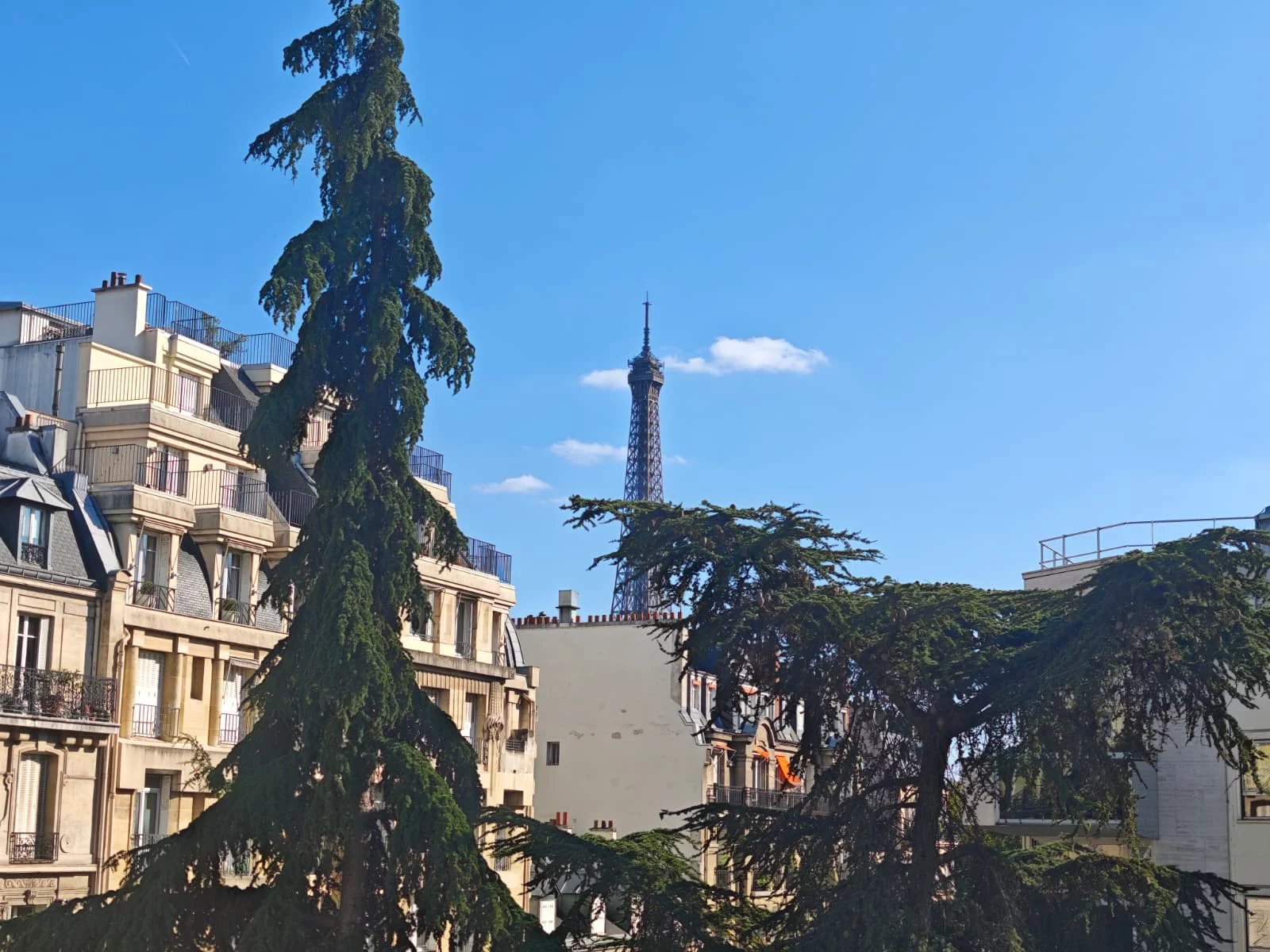RUE GEORGE BIZET - SUPERBE 4 PIECES DE 111m2  - VUE SUR LA TOUR EIFFEL
