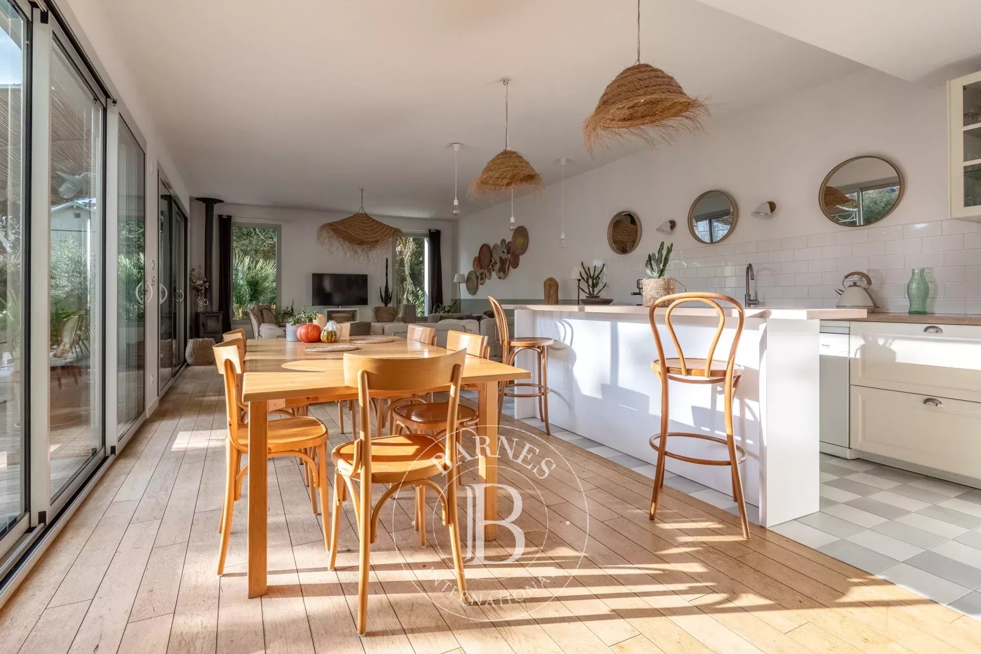 Ev Tassin-la-Demi-Lune - picture 5