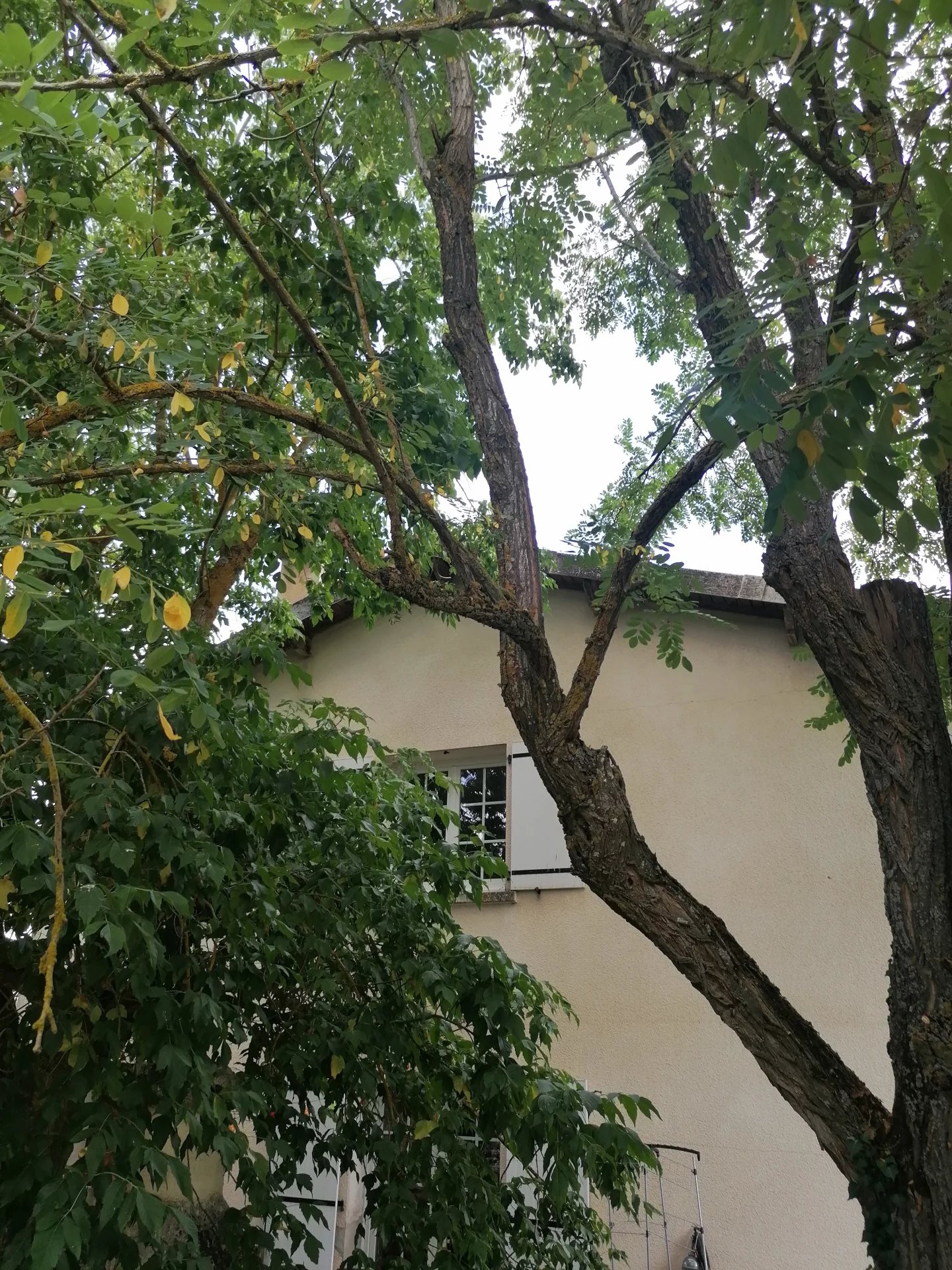 Vente Maison Parisot