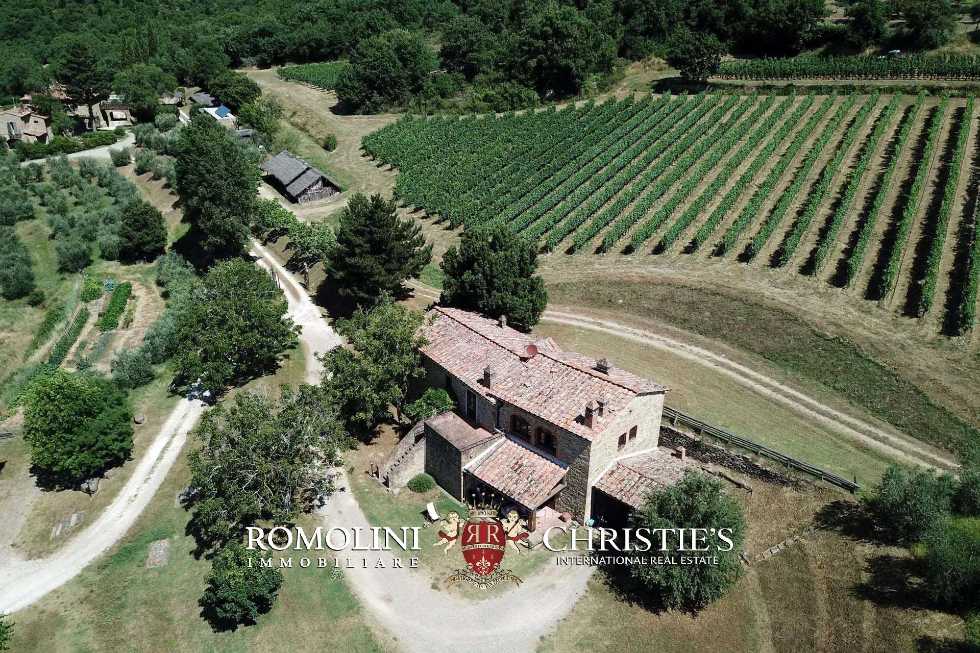 TENUTA VINICOLA BIOLOGICA IN VENDITA, CANTINA BIO TOSCANA