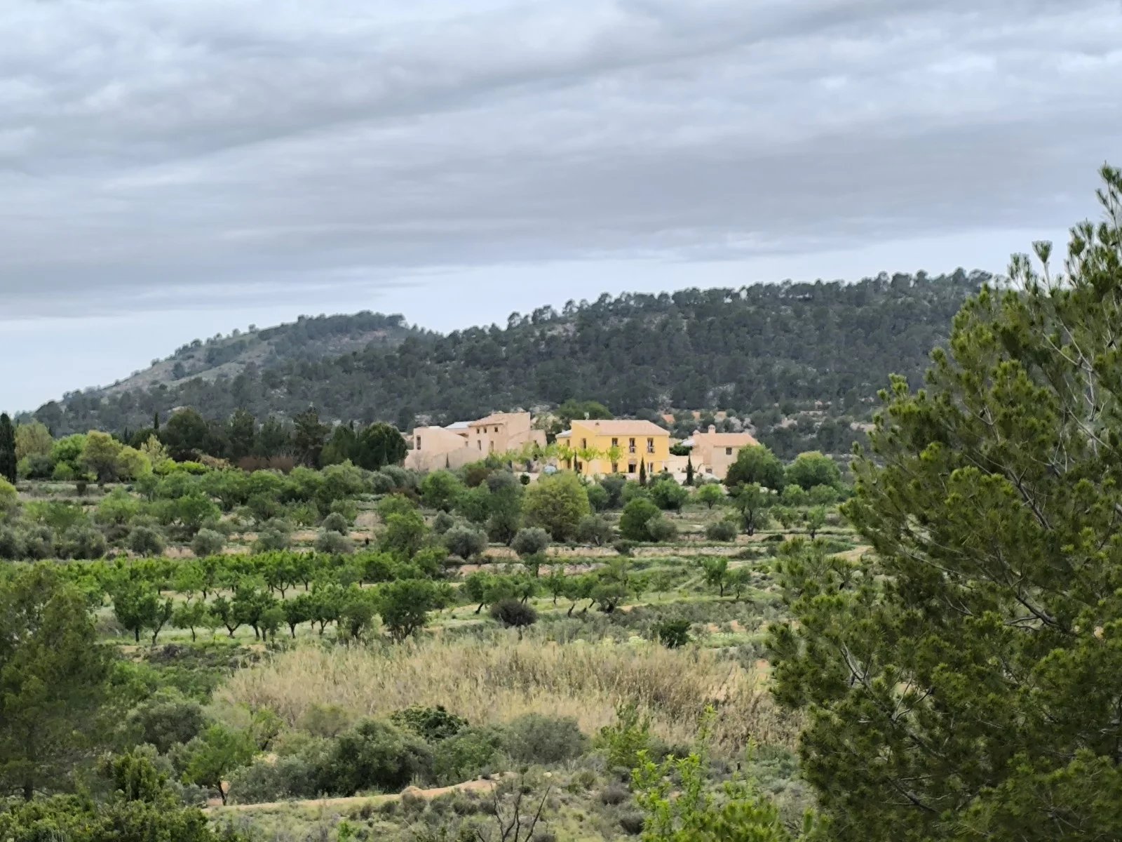 Agence immobilière de NOFFIMMO