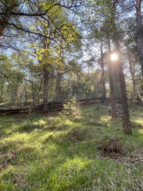 TERRAIN NON CONSTRUCTIBLE -PEILLE.