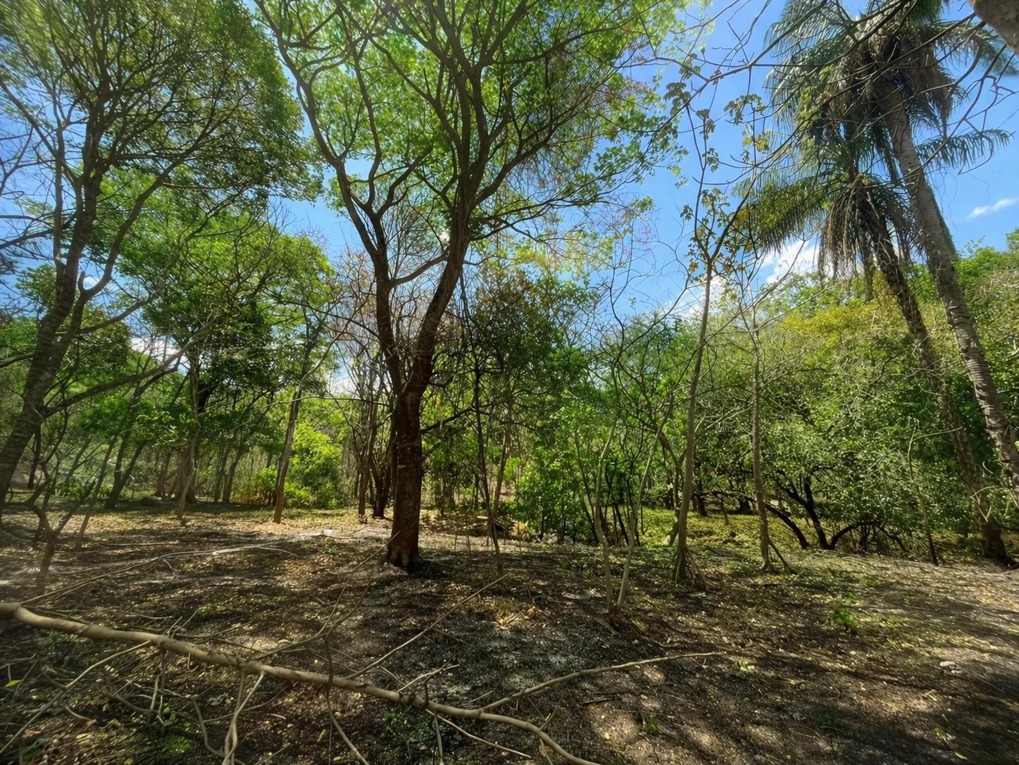 Venta Terreno Tamarindo San Jose de Pinilla