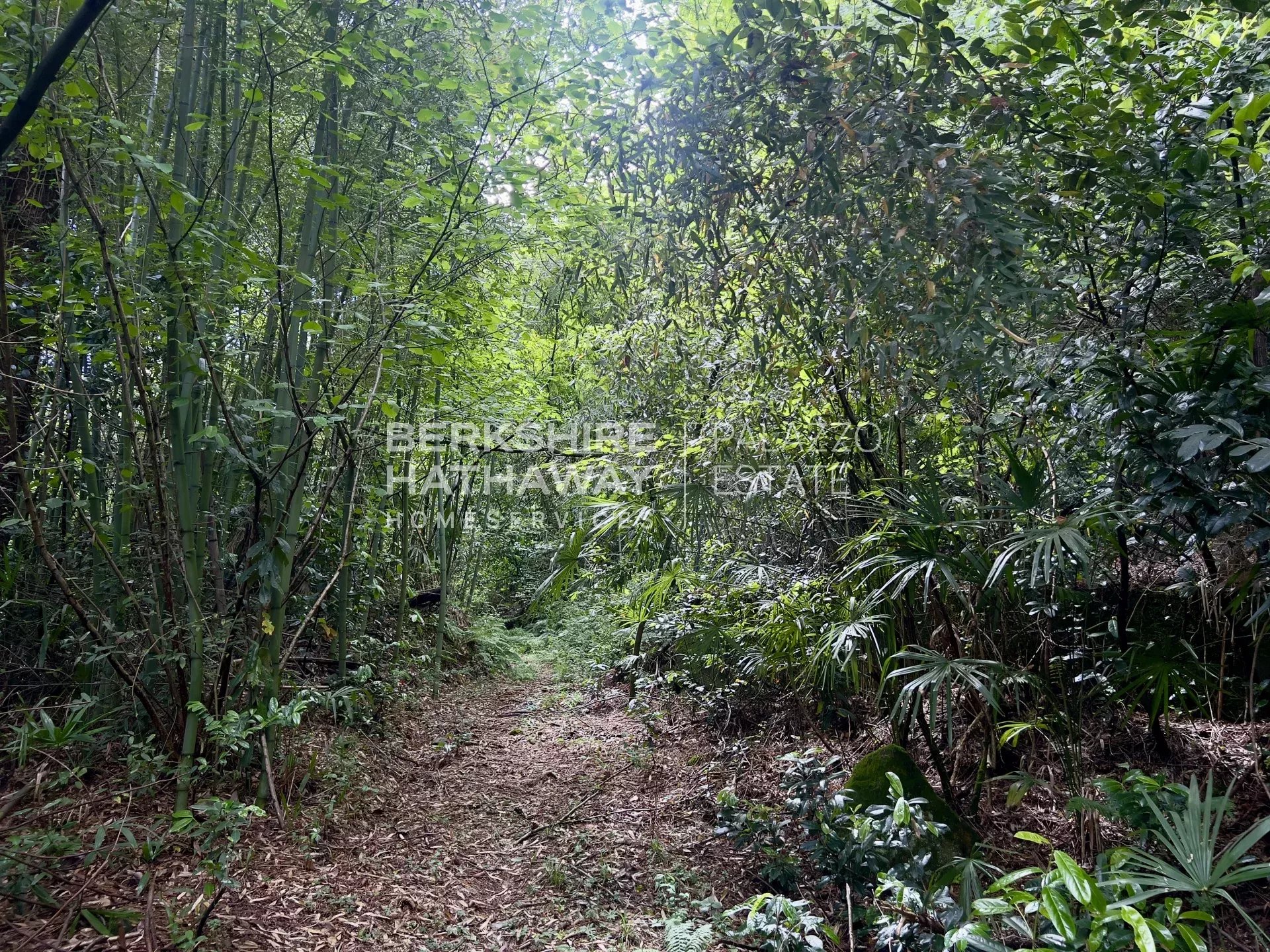 Land in Baveno - Image 3