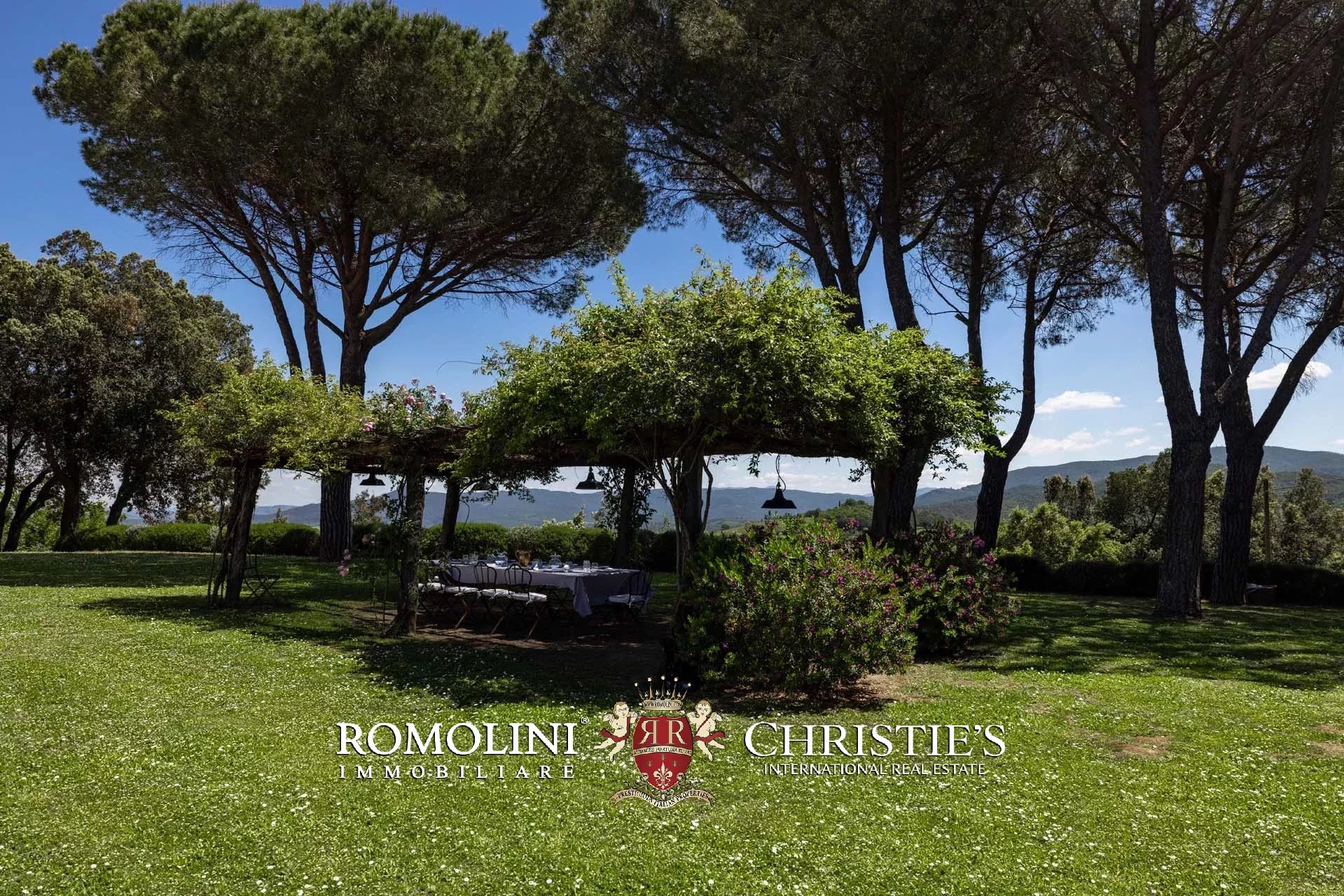 EQUESTRIAN SEA VIEW WINE ESTATE WITH VINEYARDS FOR SALE CLOSE TO BOLGHERI, TUSCANY