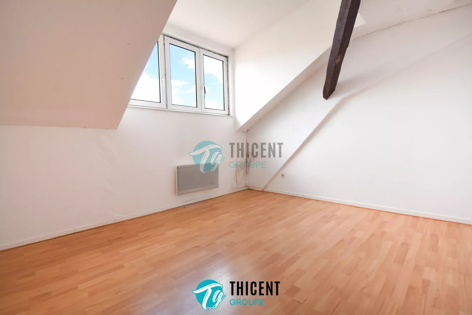 Agence immobilière de THICENT GROUPE