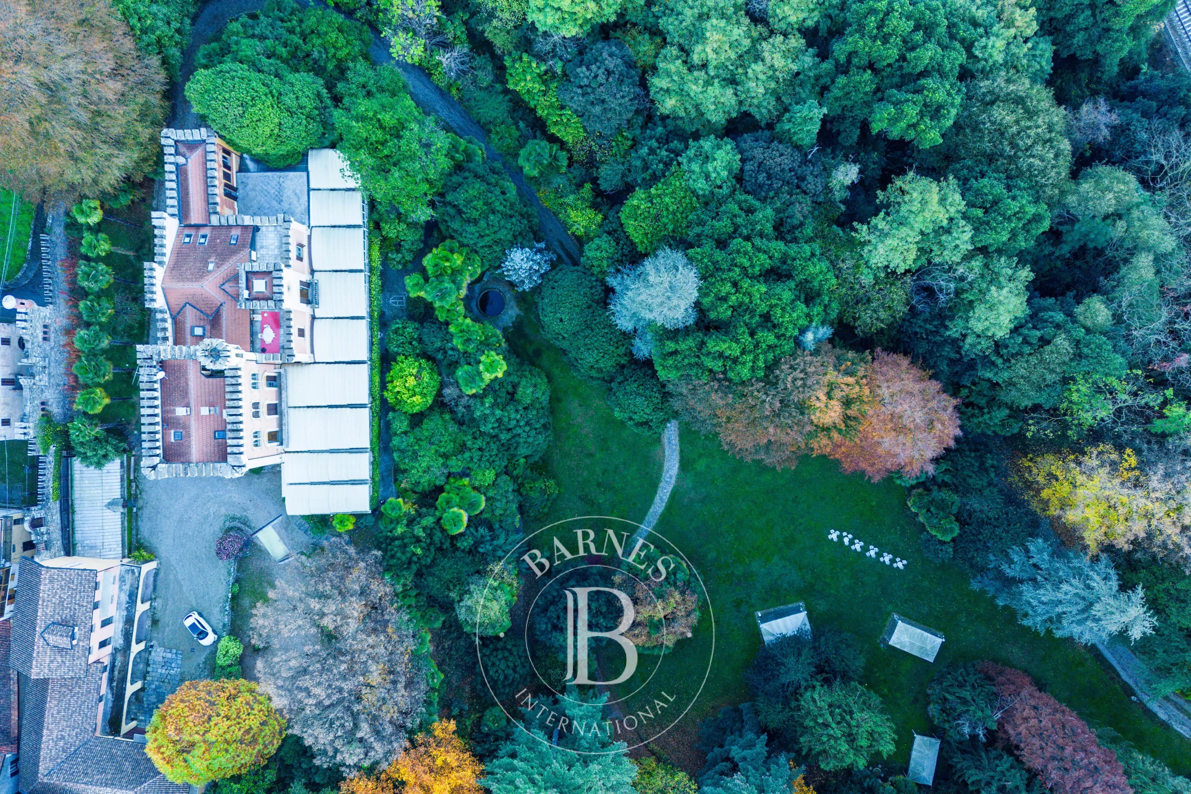 Saray Lesa - picture 6