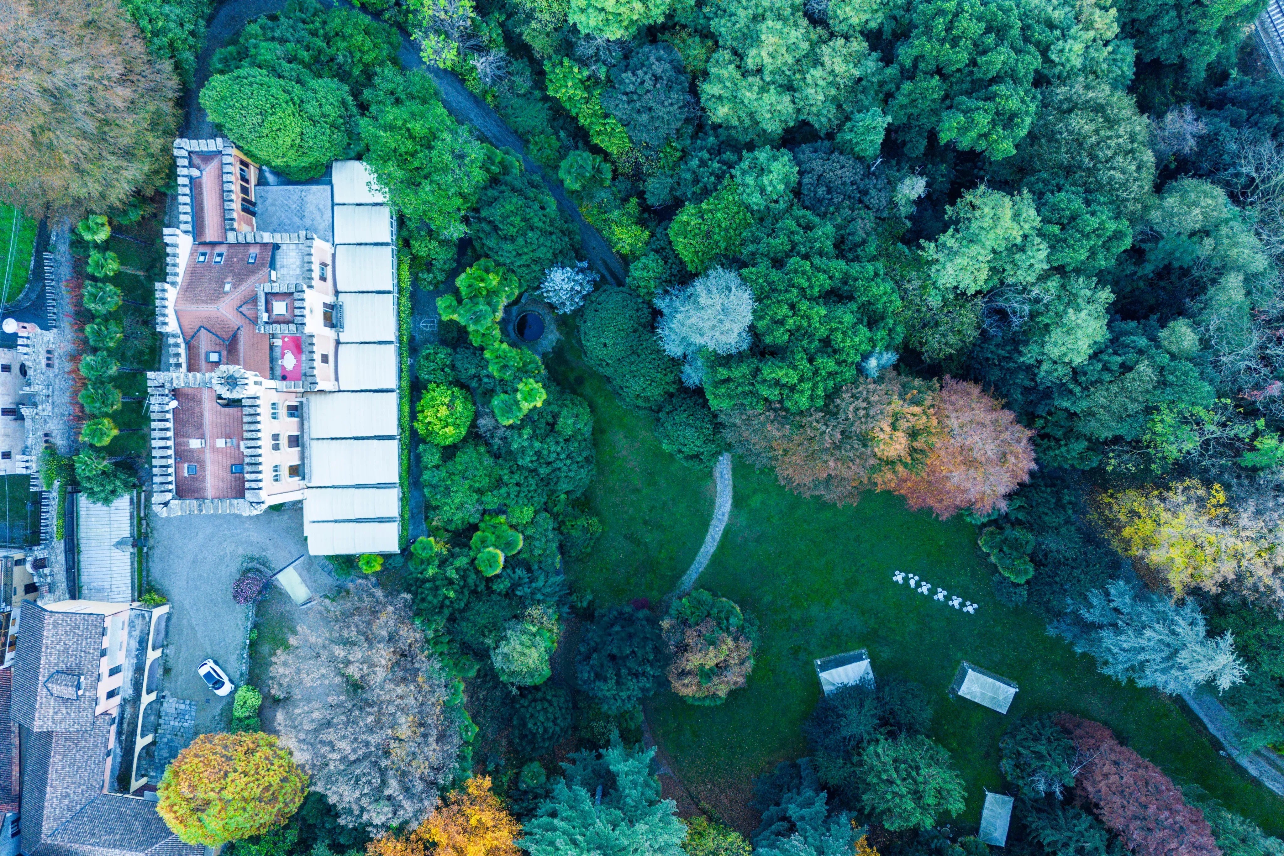 Saray Lesa - picture 6