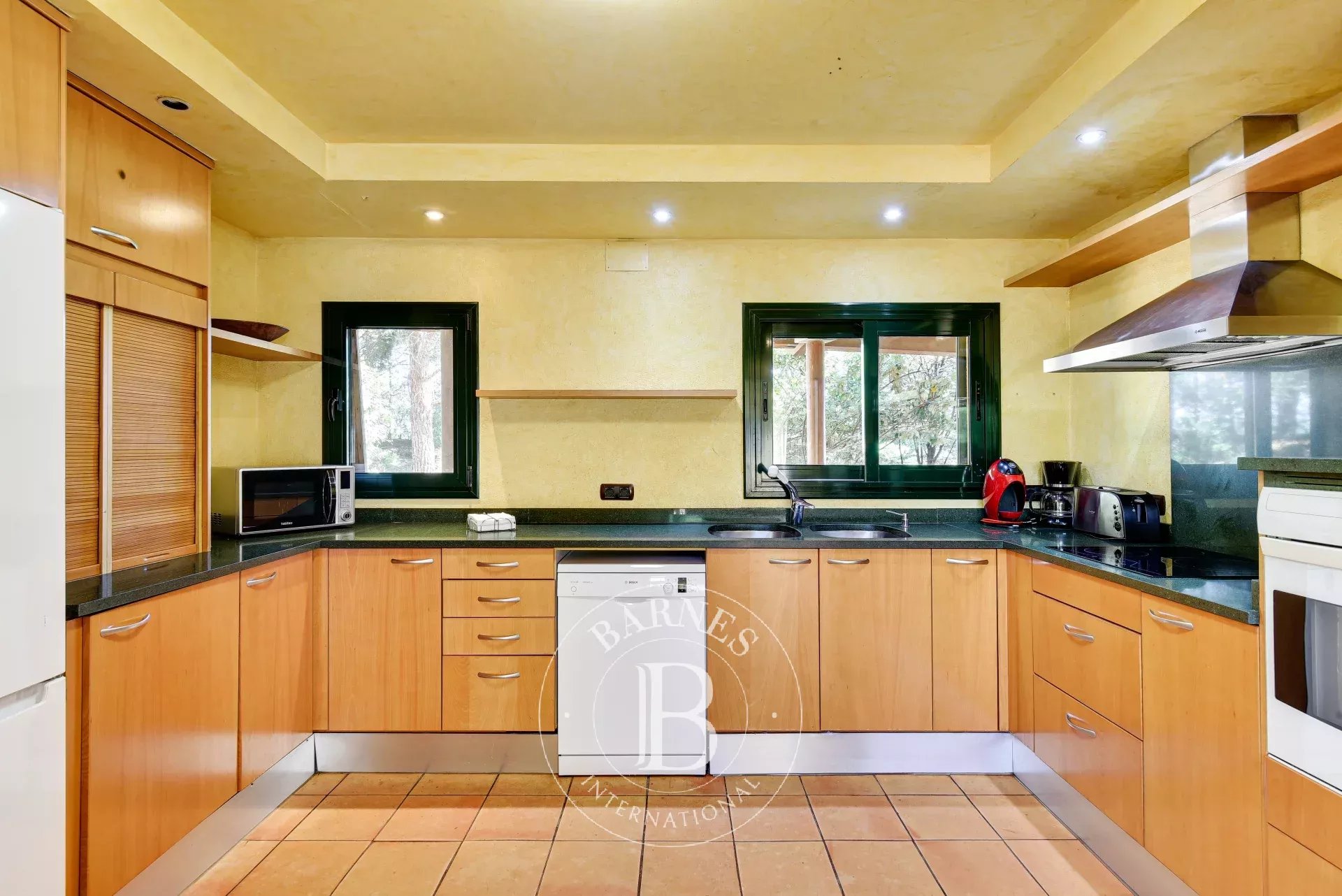 Çiftlik Capmany - picture 39