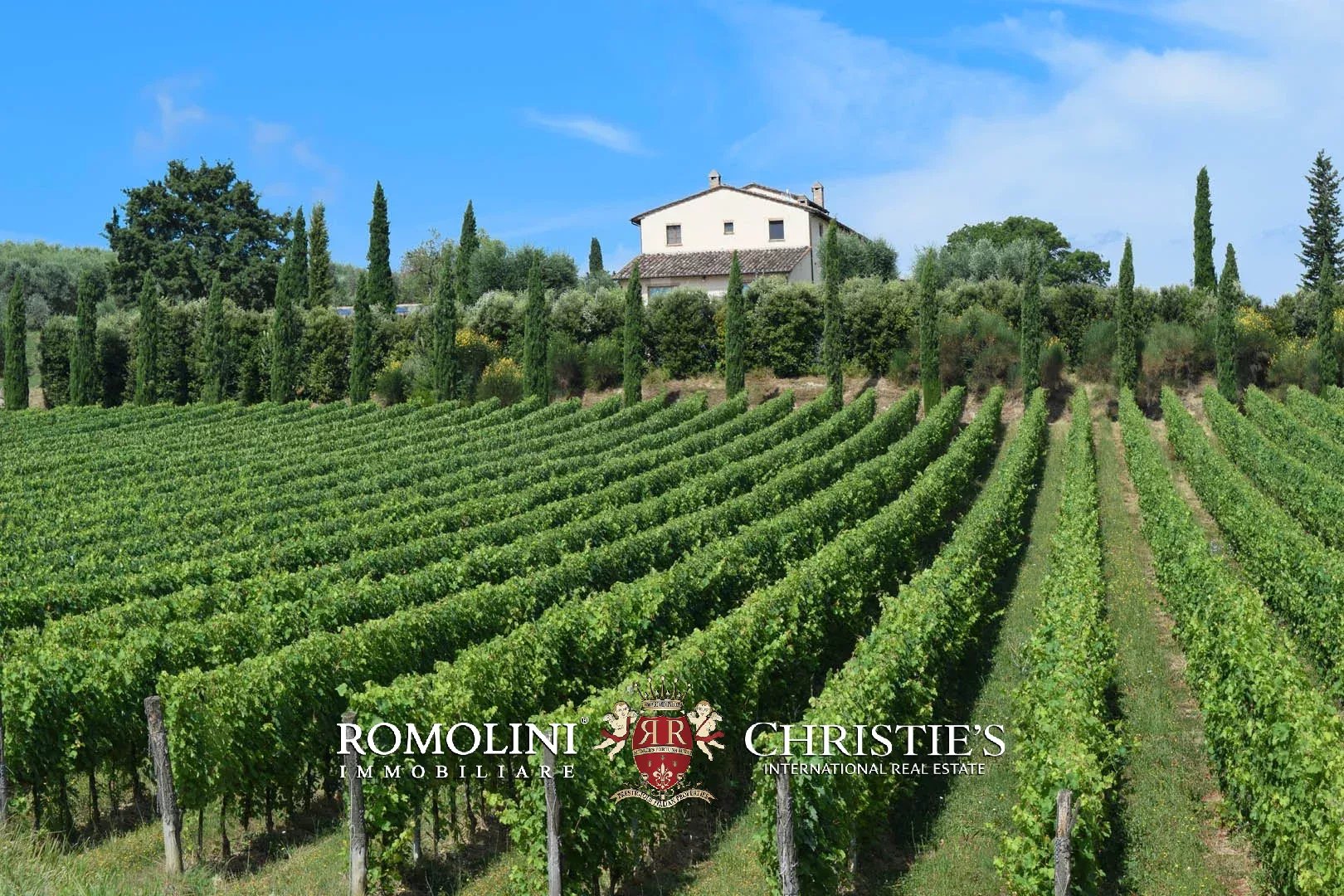 15 Bedroom Vineyard's Image 24
