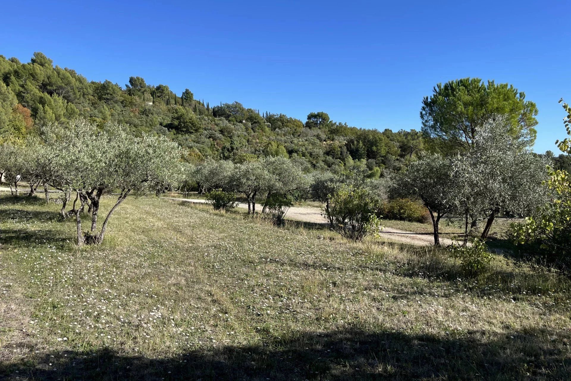 Single-storey villa on top location - SEILLANS