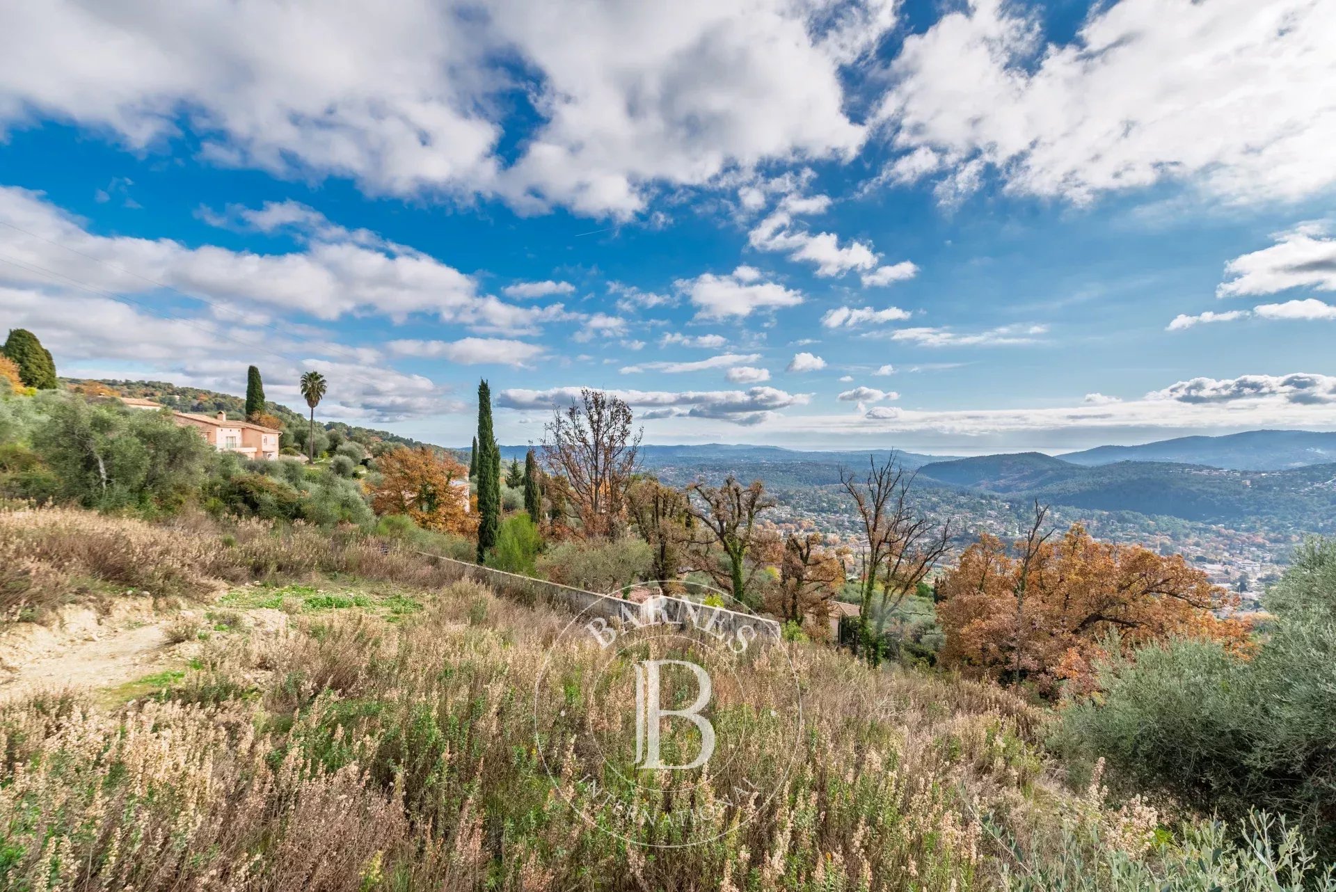 Arazi Cabris - picture 8