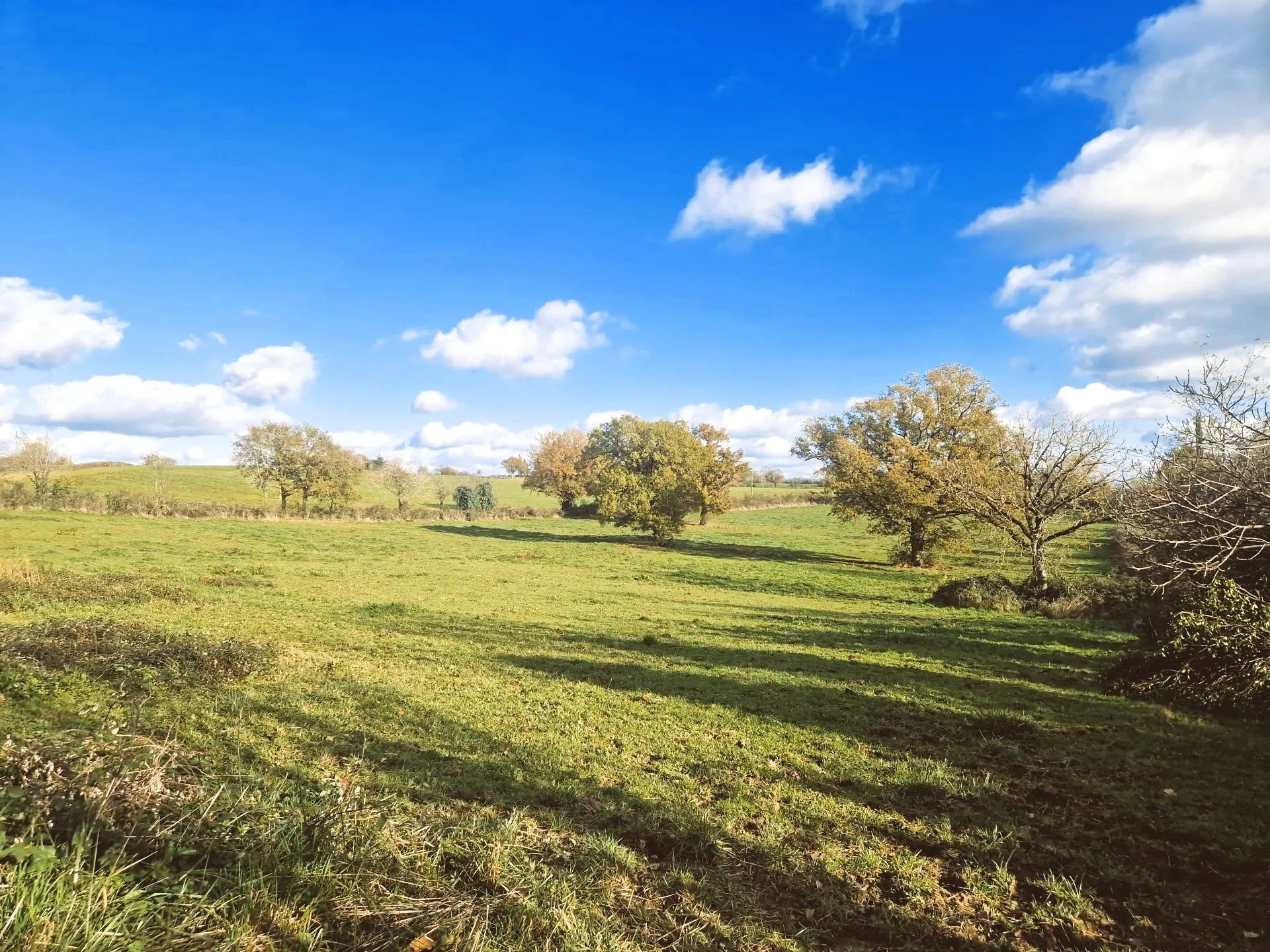House in La Salvetat-Peyrales - Image 4
