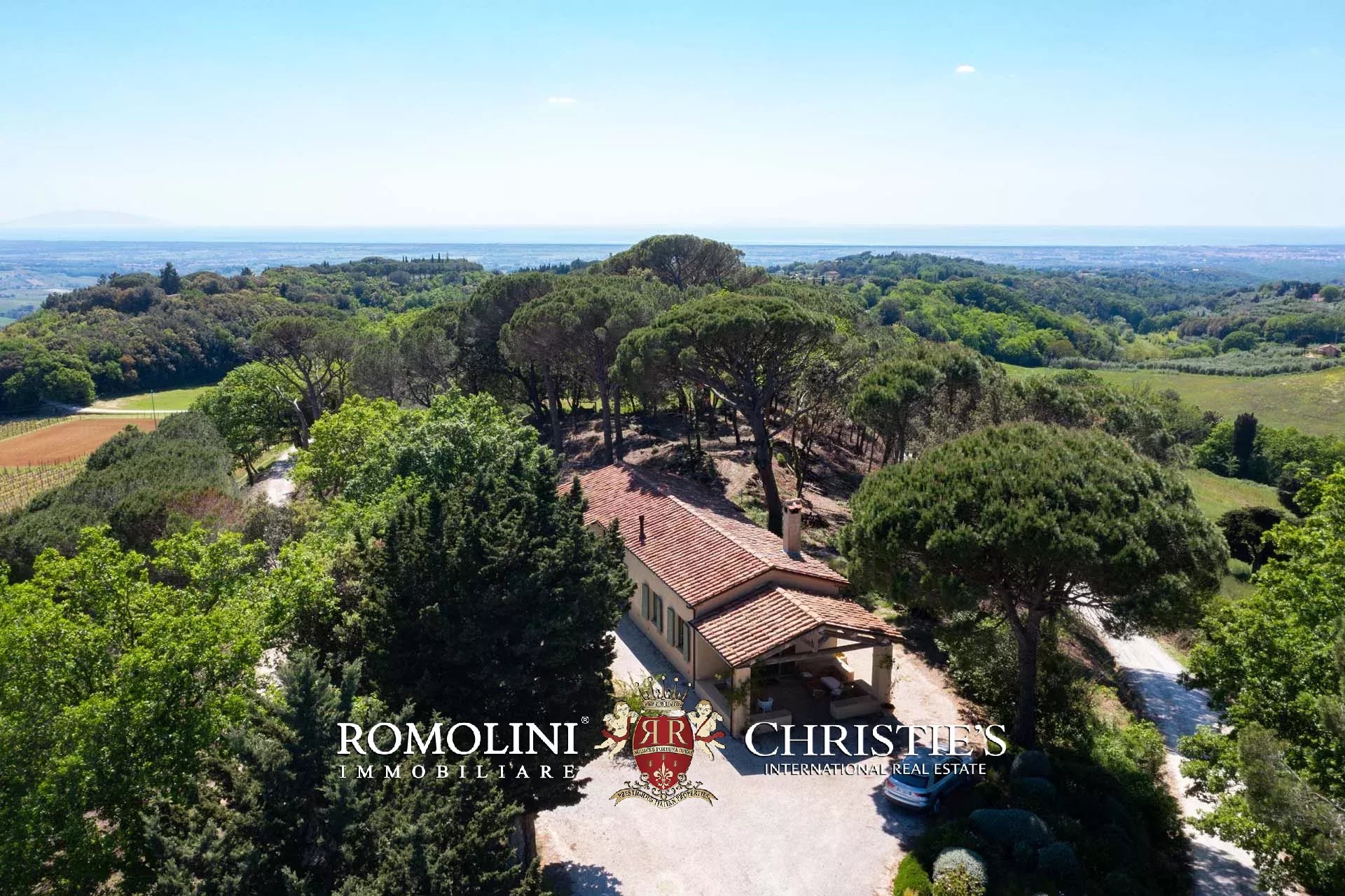 EQUESTRIAN SEA VIEW WINE ESTATE WITH VINEYARDS FOR SALE CLOSE TO BOLGHERI, TUSCANY